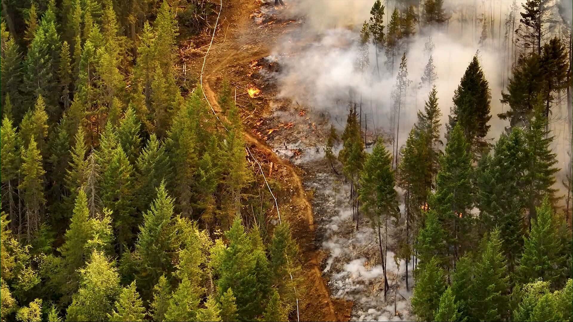 Près de 700 feux de forêt toujours non maîtrisés au Canada