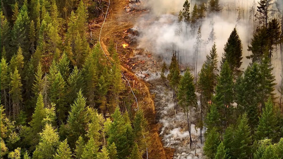 Près de 700 feux de forêt toujours non maîtrisés au Canada