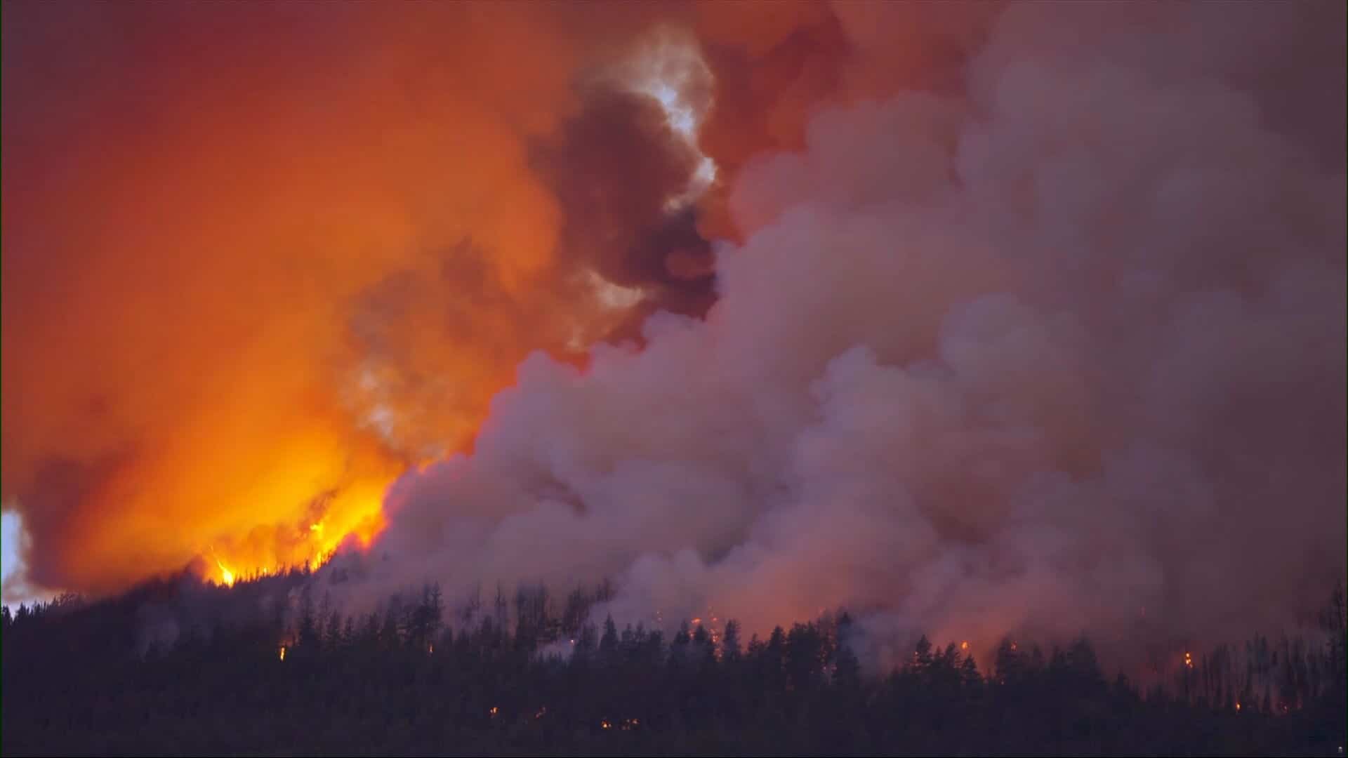 Des chercheurs de Sherbrooke misent sur l'informatique quantique pour mieux gérer les feux de forêt