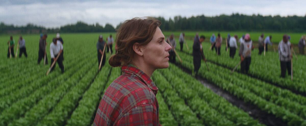 «Les oiseaux ivres» représentera le Canada aux Oscars