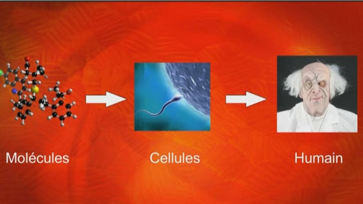 L&rsquo;amour est-il un ph&eacute;nom&egrave;ne chimique ?