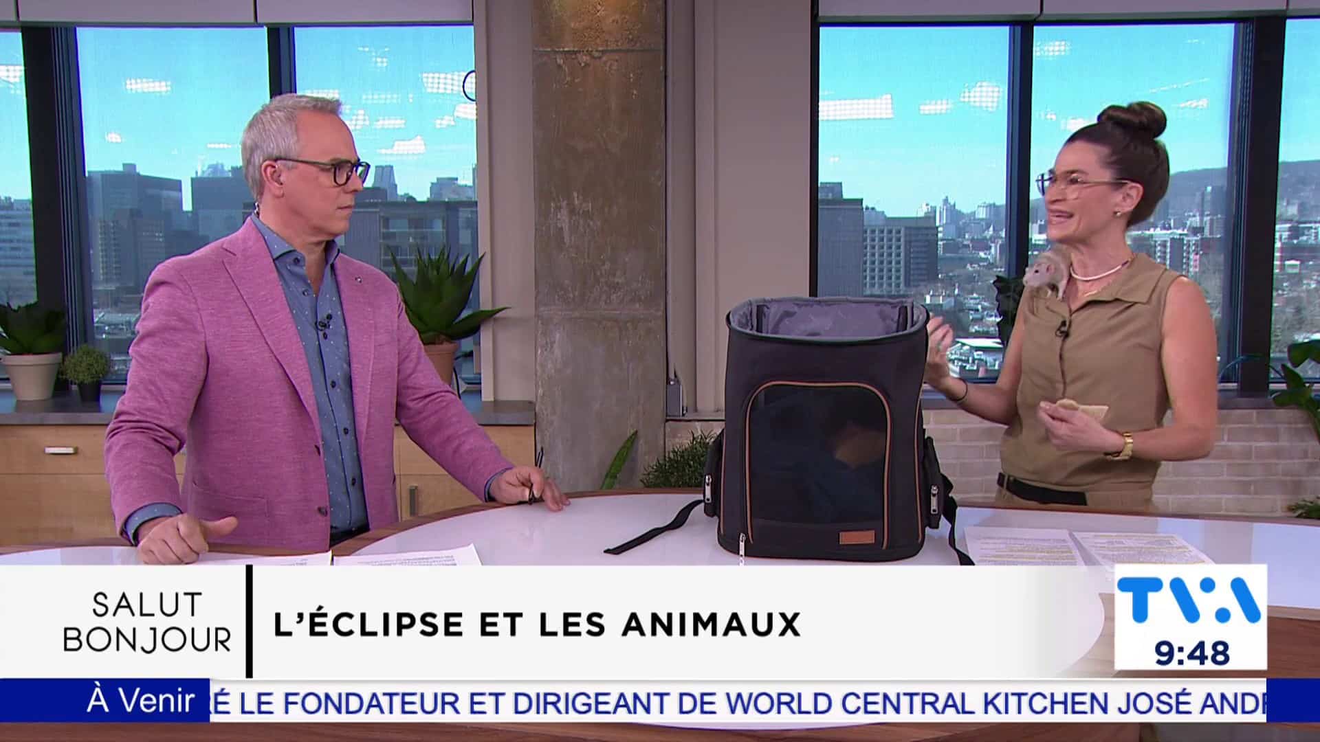Les effets de l'éclipse sur les animaux
