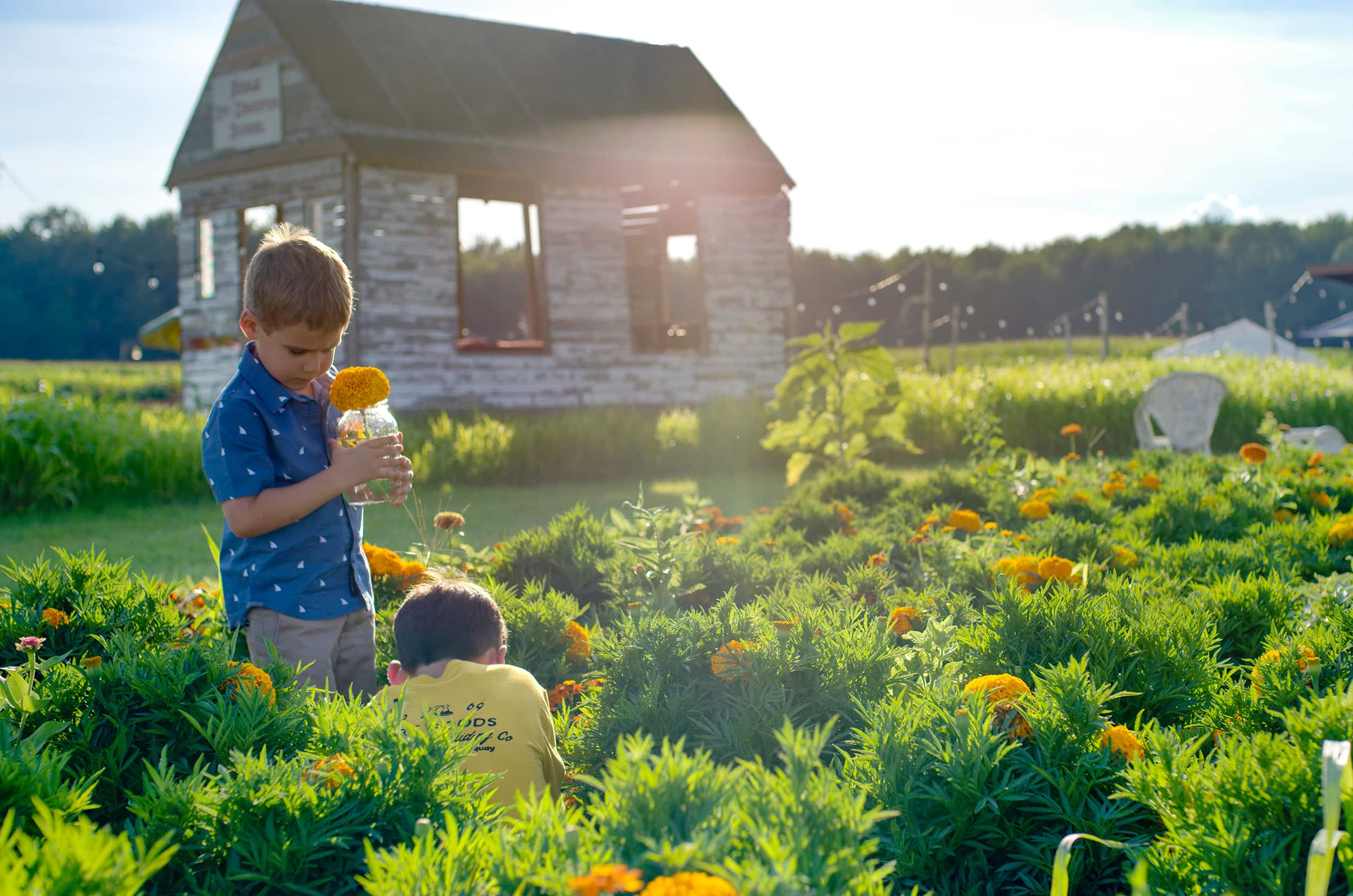 3 nouvelles activités à découvrir cet été