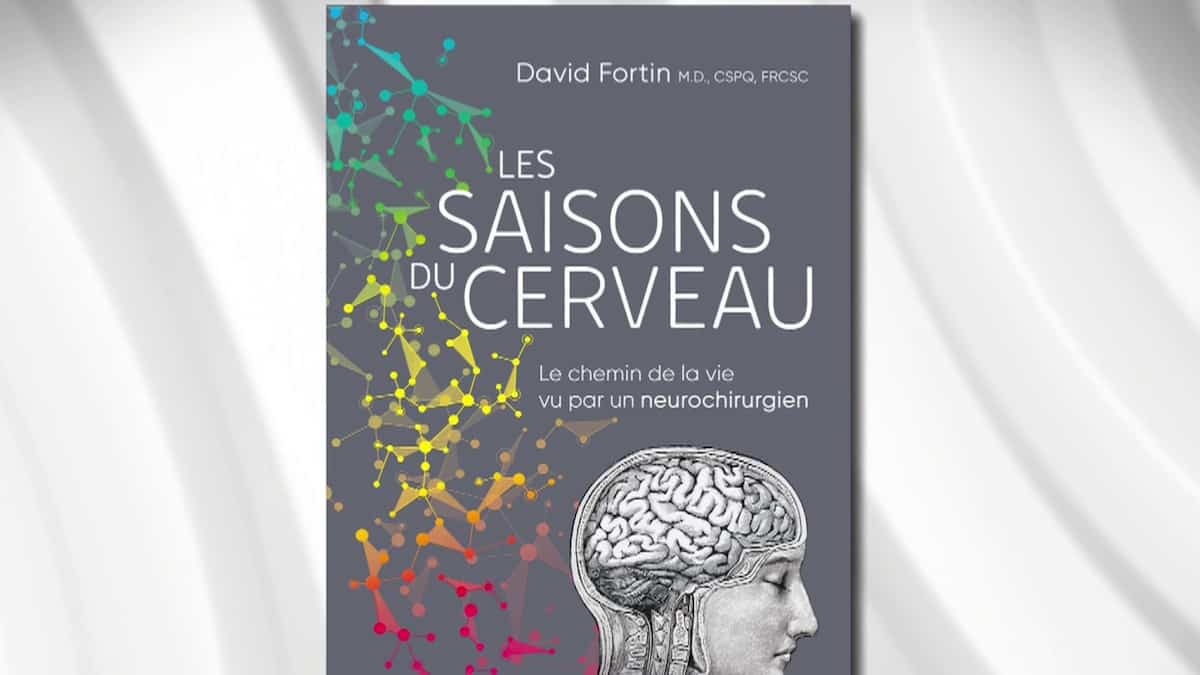 Le Dr. David Fortin et Les saisons du cerveau | Salut Bonjour