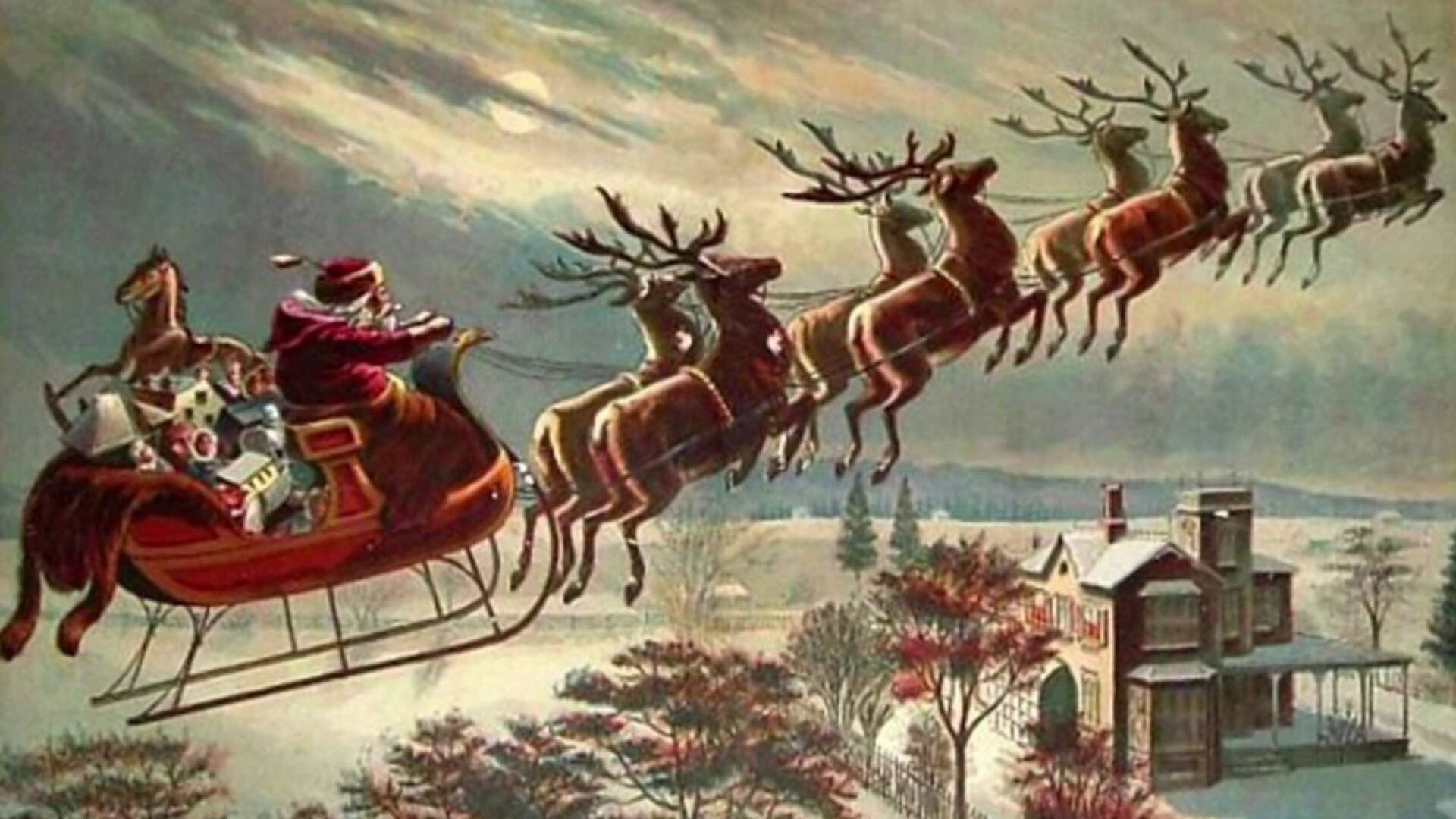 Le genre des rennes et l’histoire de Rudolph 