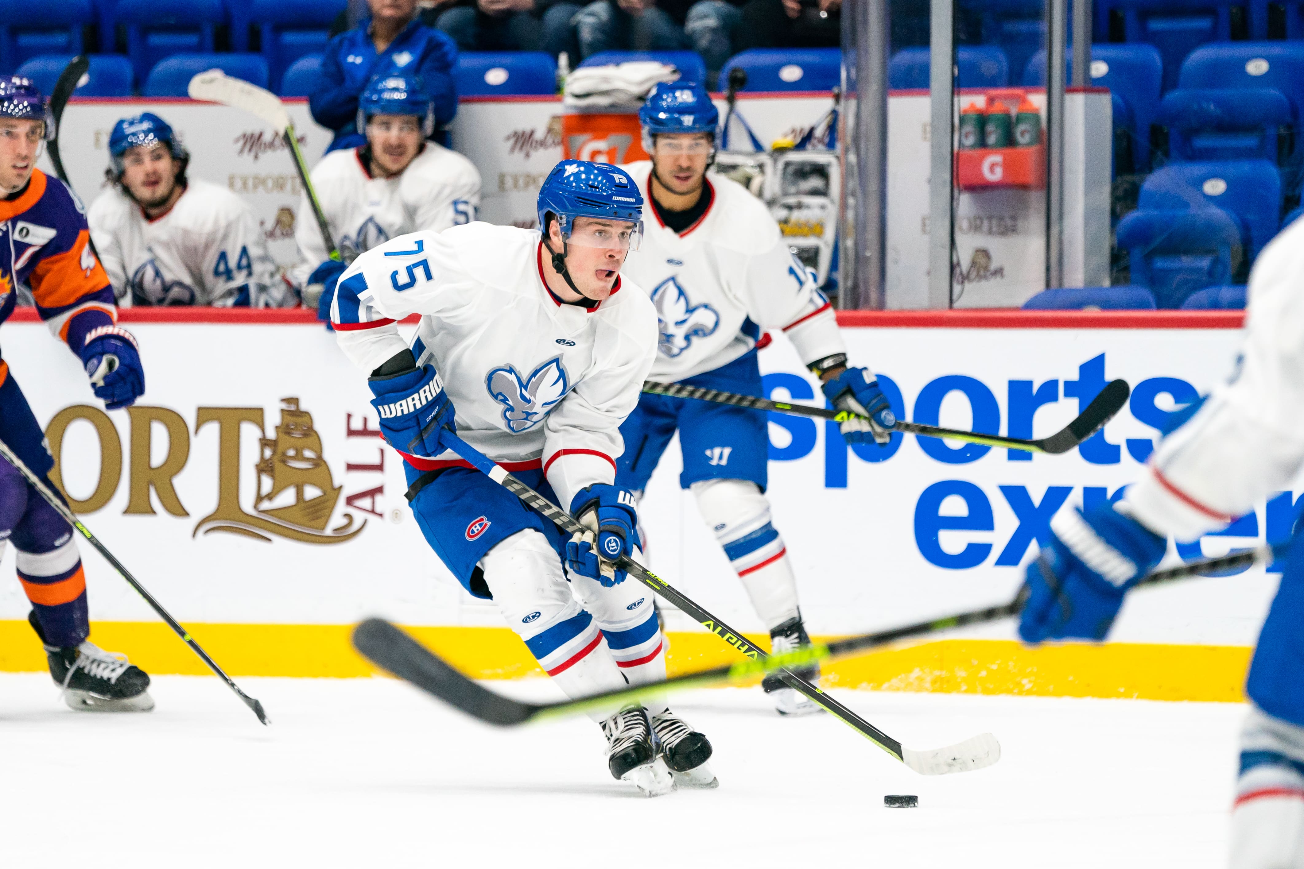 Lions de Trois-Rivières - TVA Sports