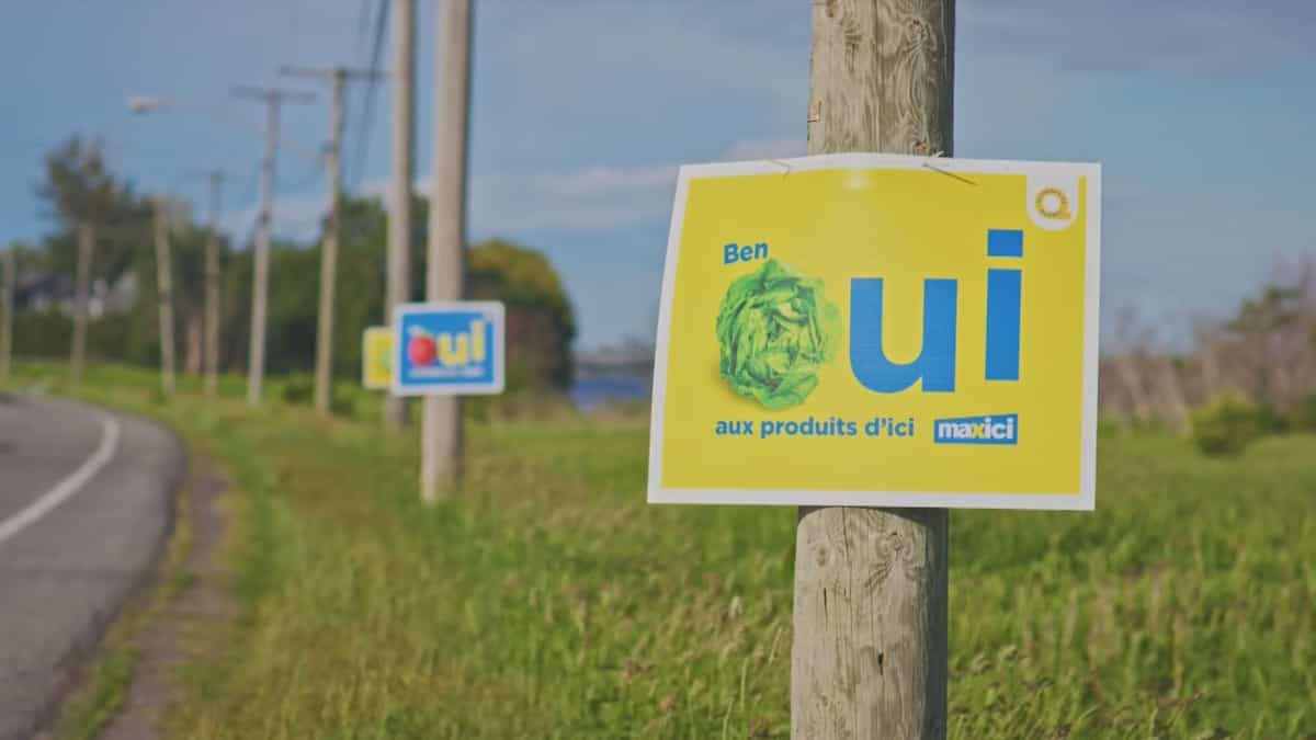 Le nationalisme s’invite dans les publicités de Tim Hortons et Maxi