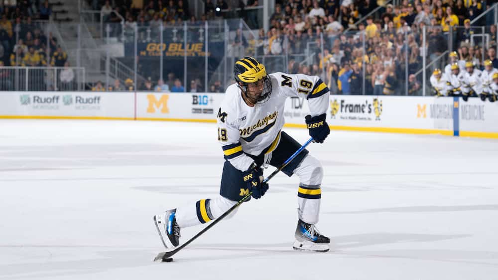 Michael Hage dans le néant