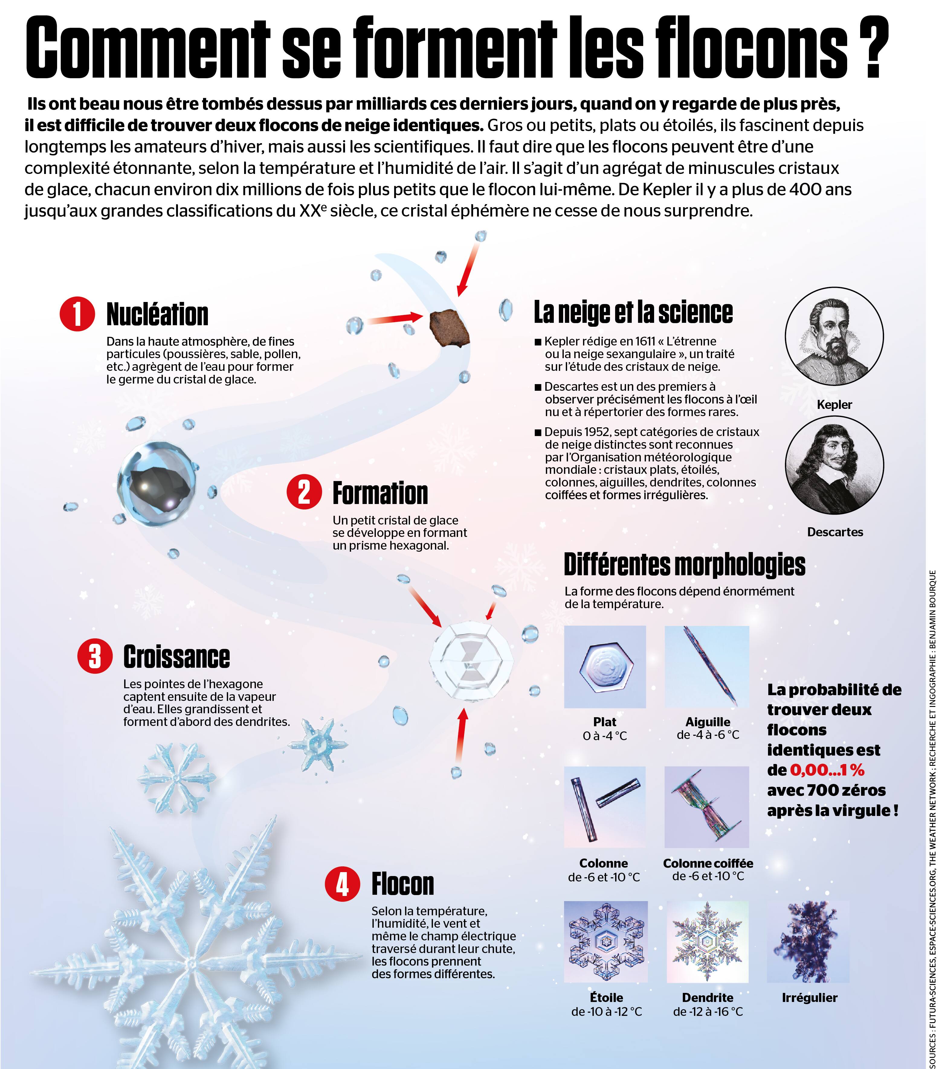 Comment se forment les flocons? | Le Journal de Montréal