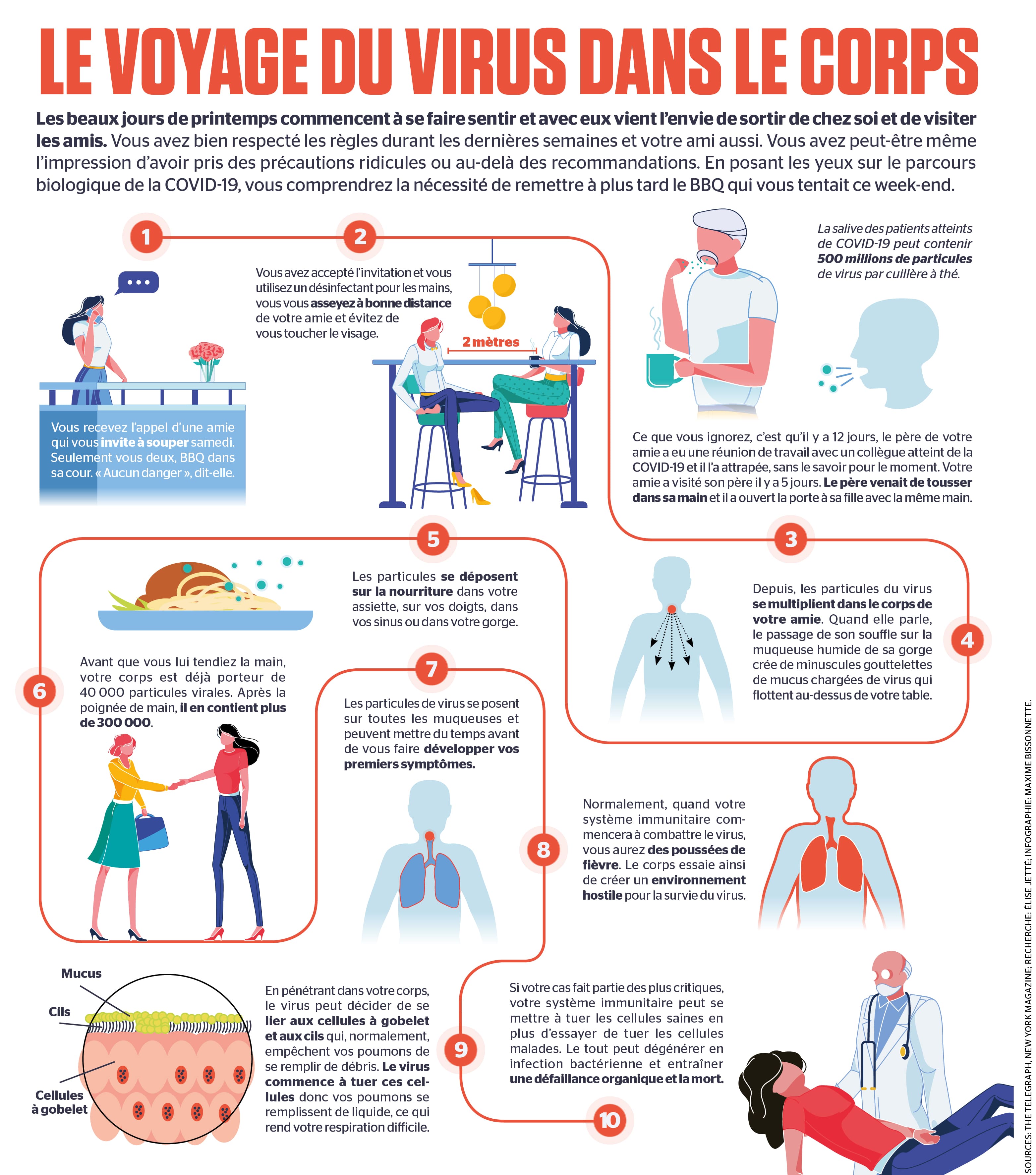 Le voyage du virus dans le corps | Le Journal de Montréal