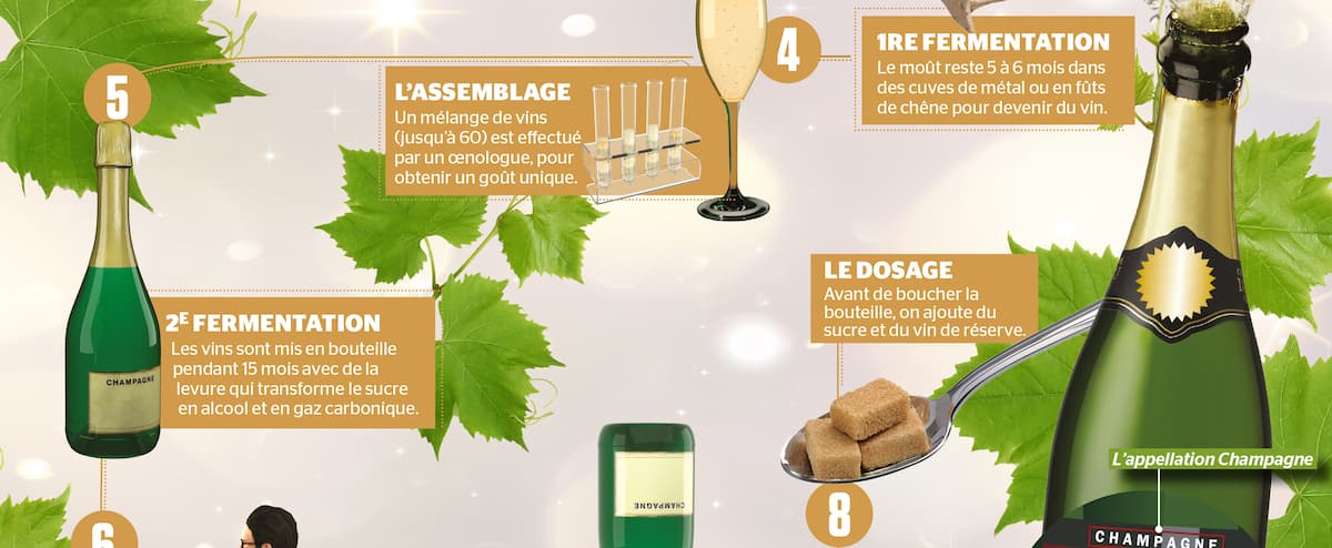 Du terroir à la coupe