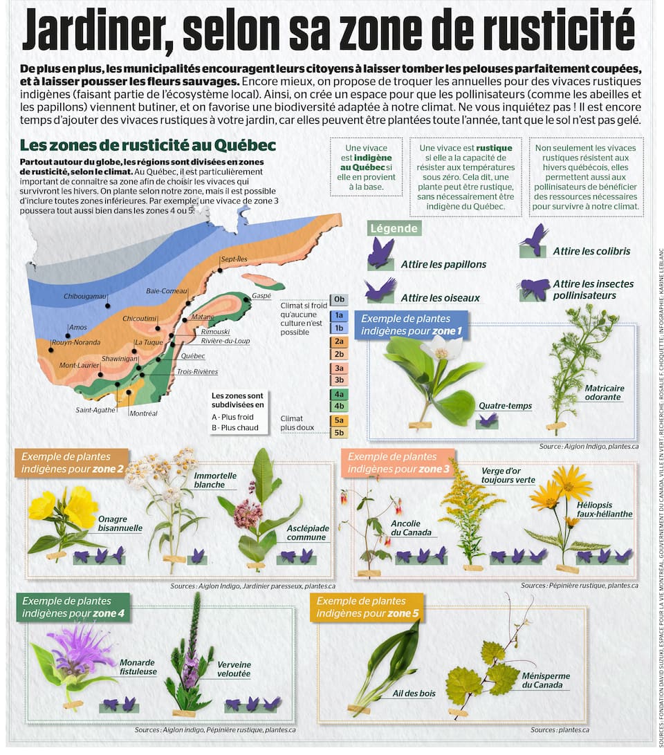 Jardiner, selon sa zone de rusticité JDQ Jardiner, selon sa zone de rusticité JDQ
