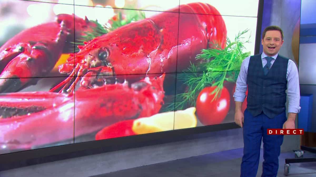 Le prix du homard fait écarquiller les yeux