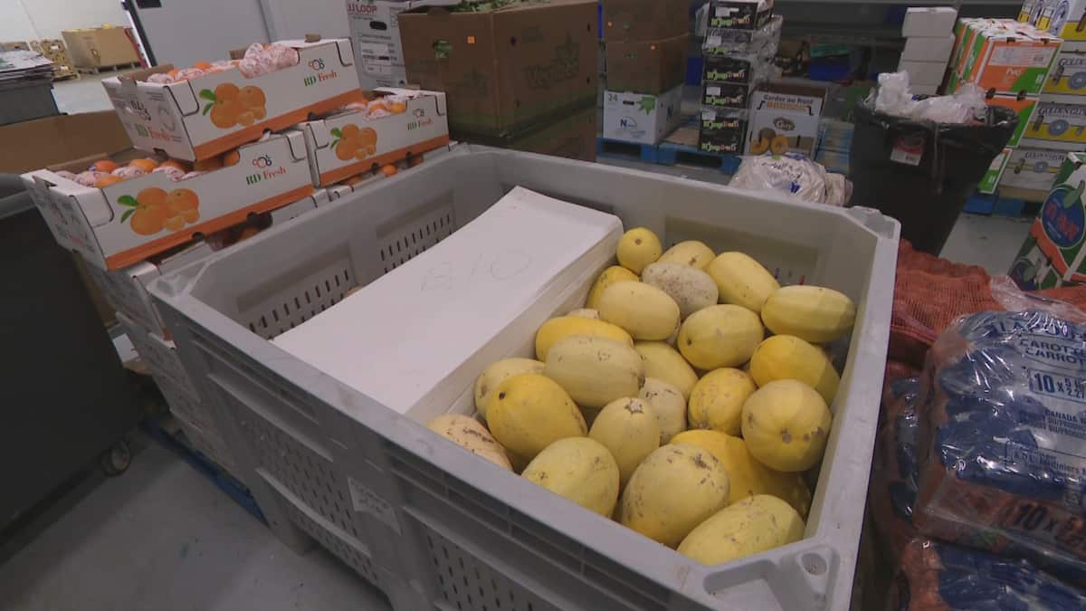 Des légumes moches vendus pour une fraction du prix