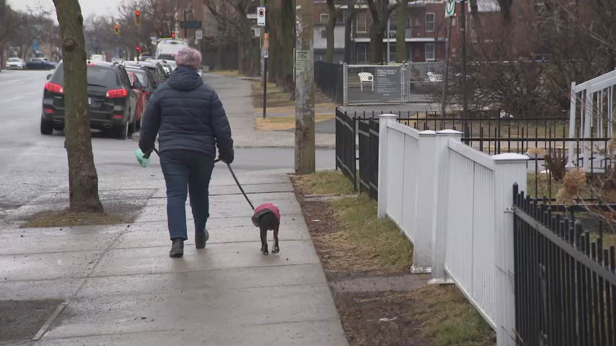 Trouver un logement et garder son animal: mission impossible?