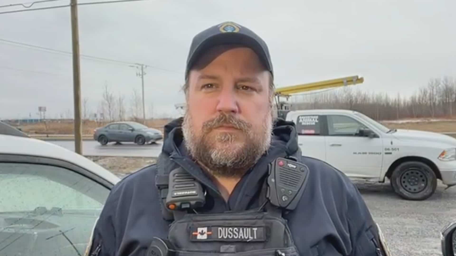 Le renard du Vieux-Port refuse de se laisser attraper