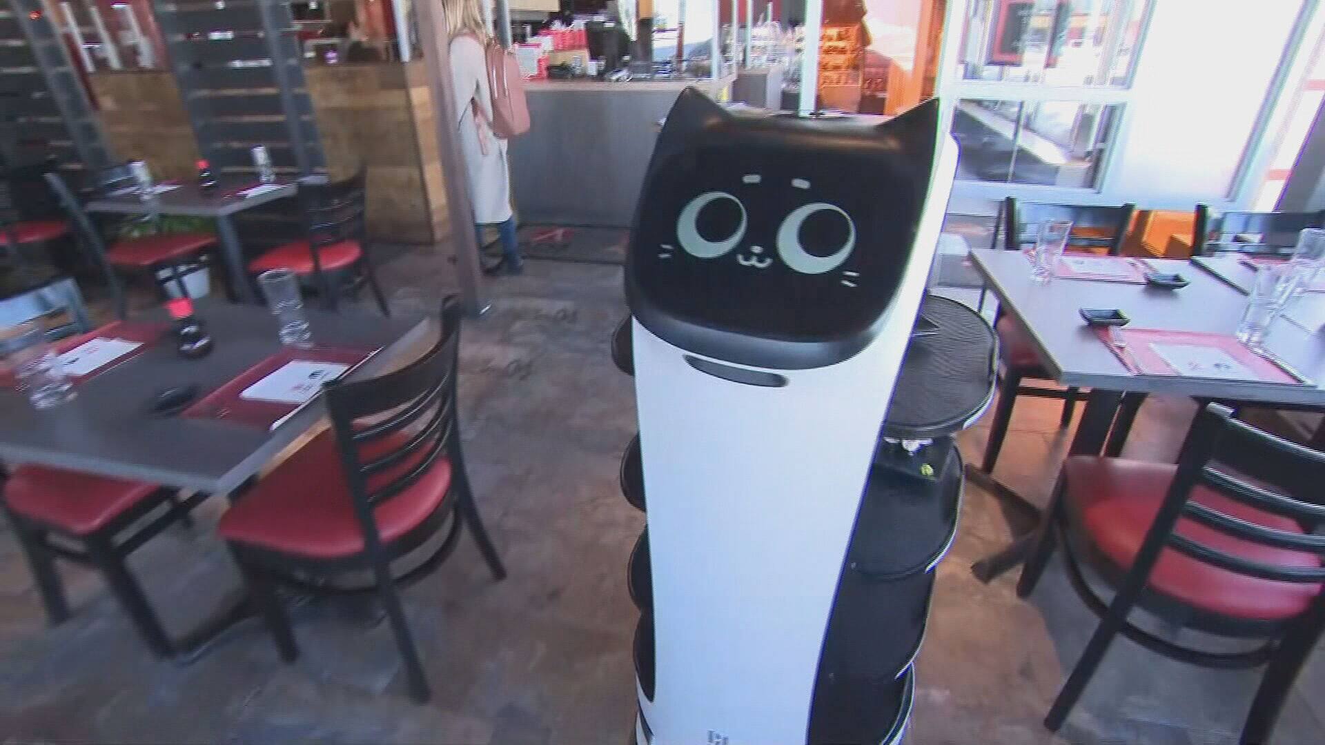 «C’est mon plus bel investissement»: des robots-serveurs s'invitent ...