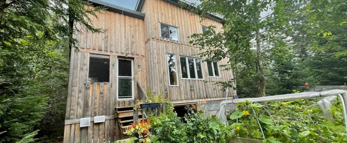 Off Grid Apartment Self Sufficient Living Renovation photo