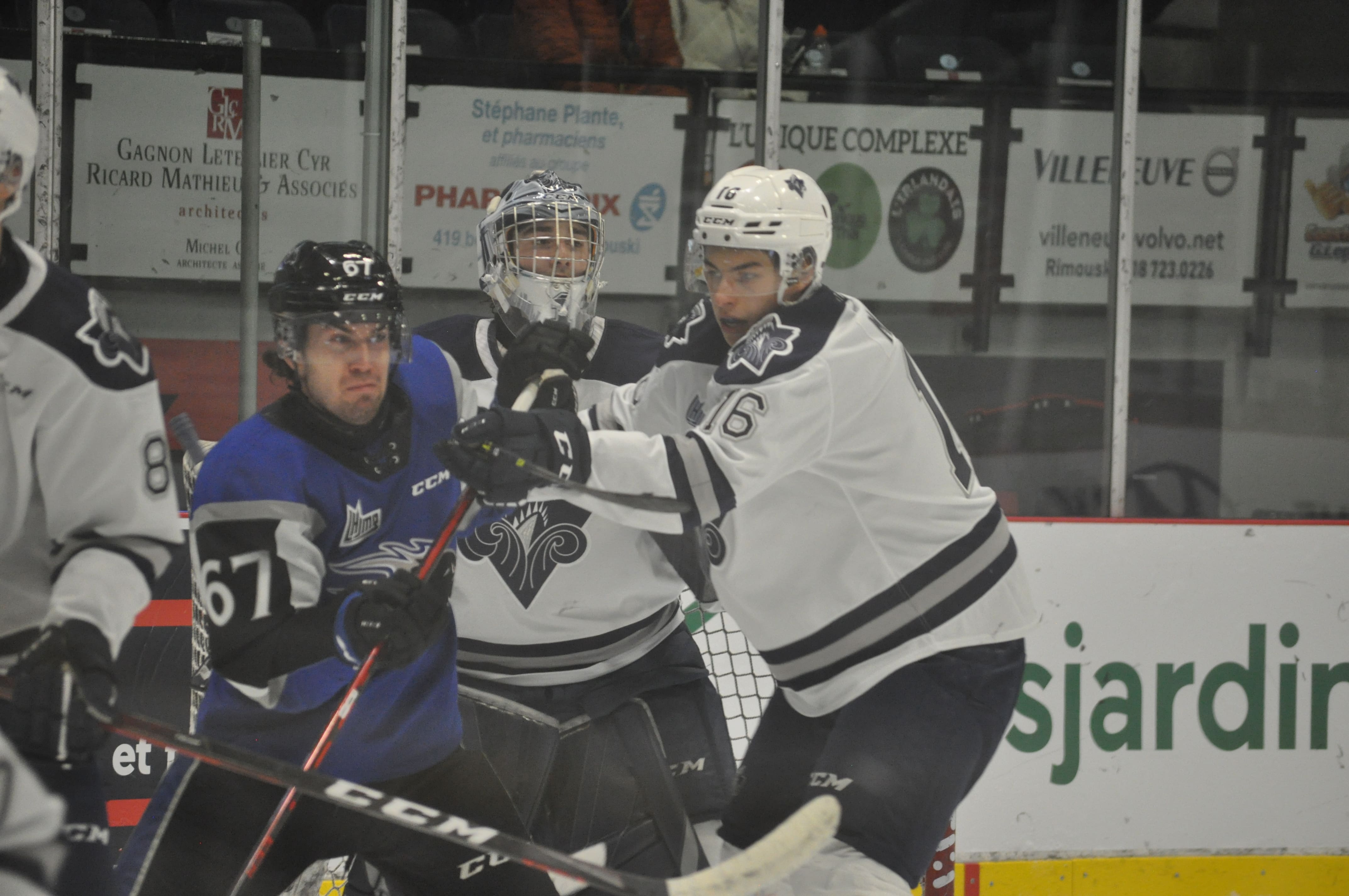 LHJMQ: L’Océanic se venge des Sea Dogs avec un gain de 6-1 | JDQ
