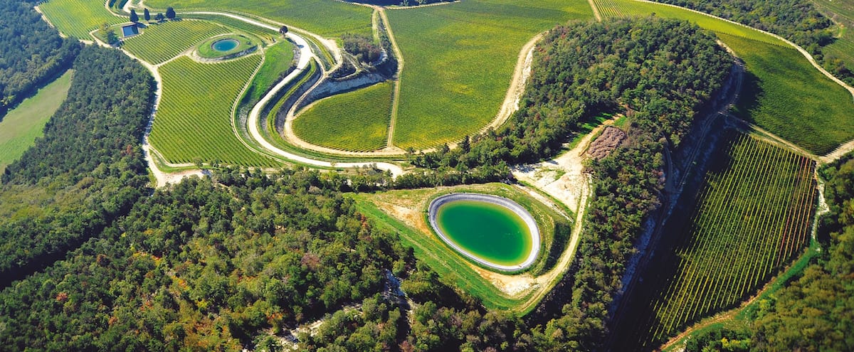 Tedeschi: au cœur d’un terroir unique