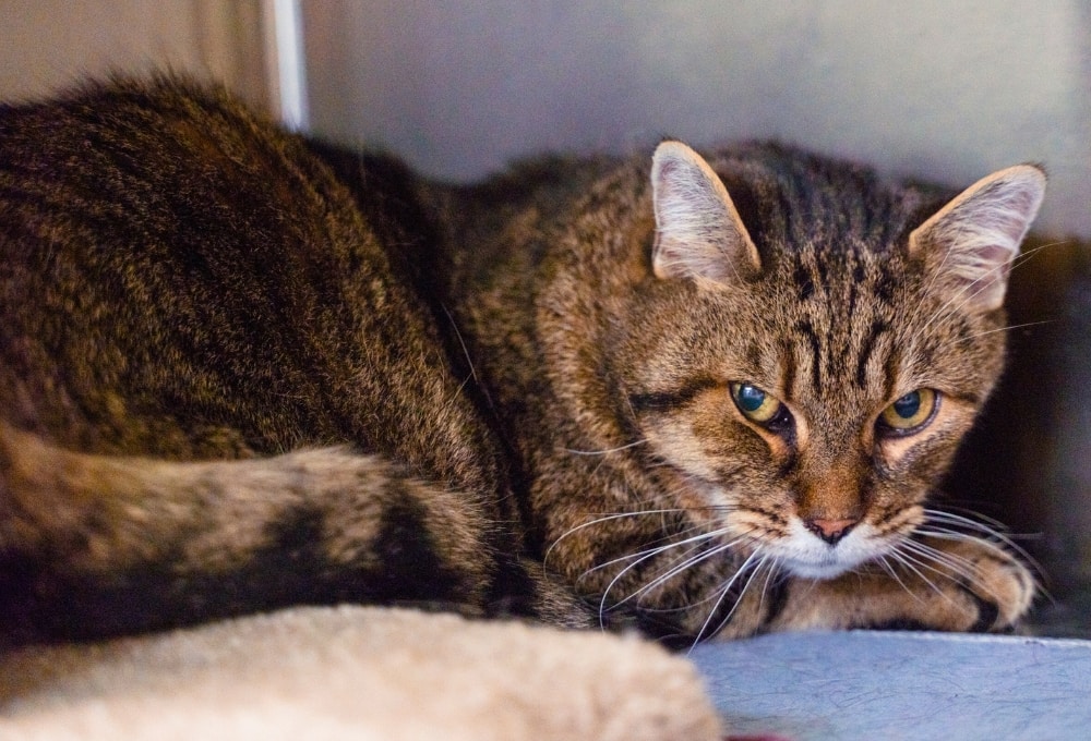 Une histoire triste avec un beau rebondissement