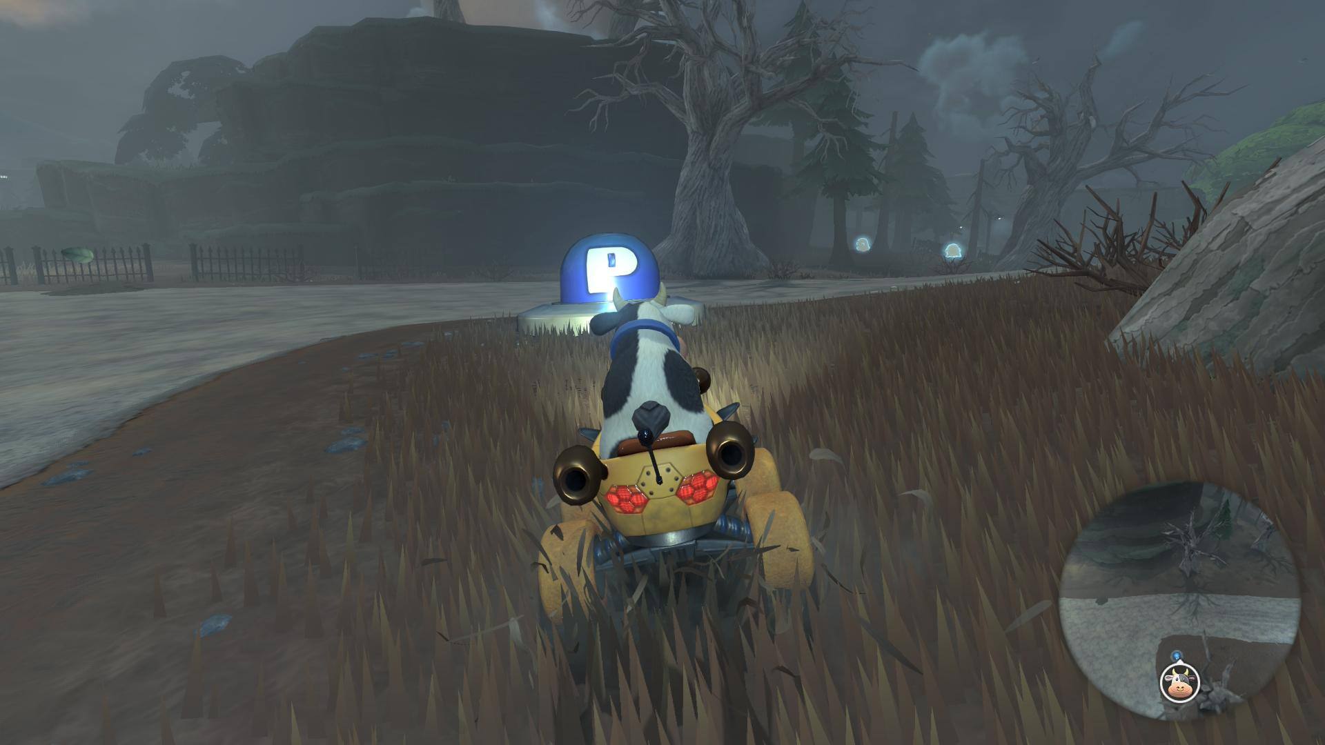 Mario Kart World: comment jouer au mode balade