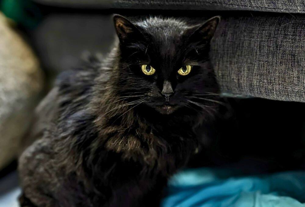 Mia, 19 ans, doit sortir du refuge au plus vite