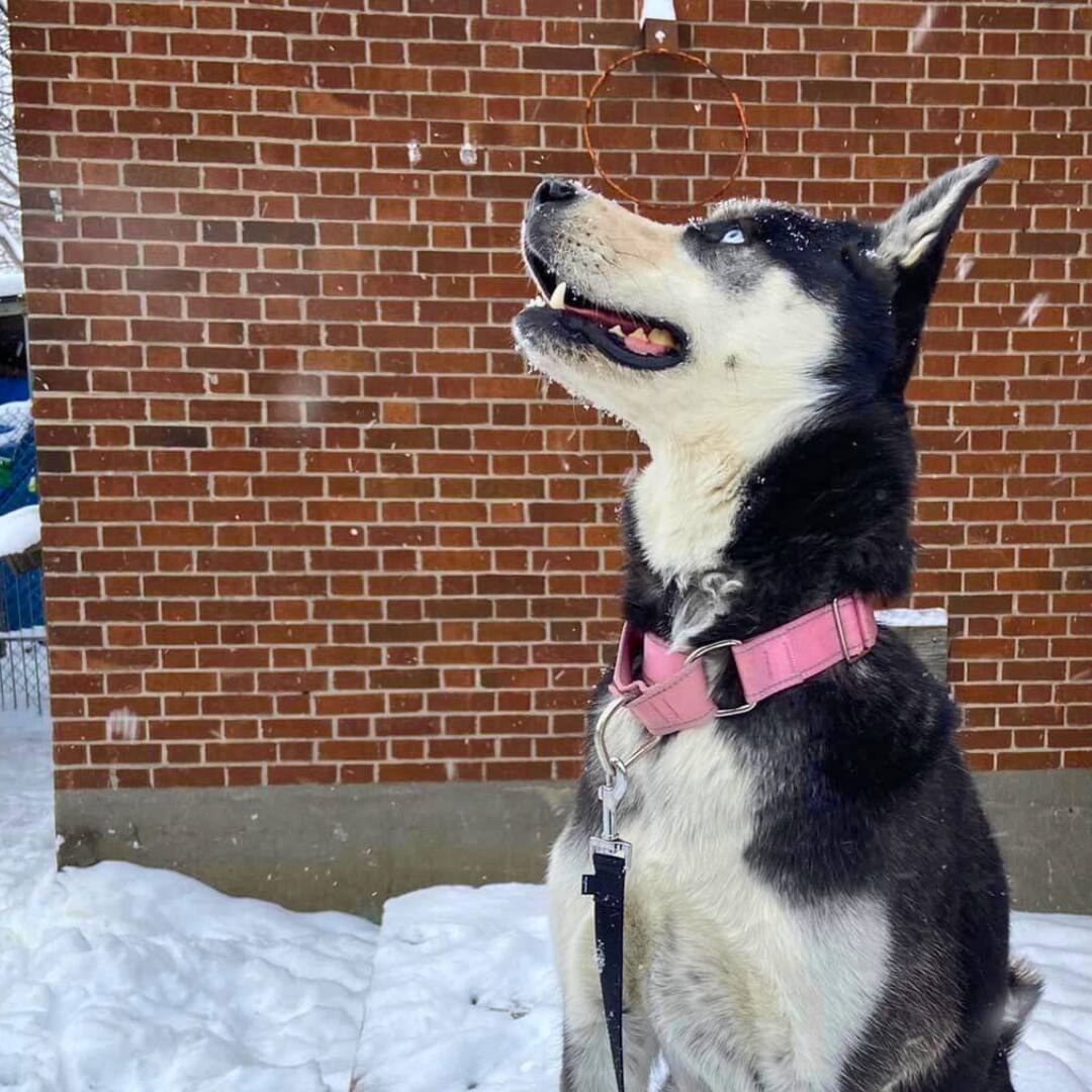 Moka ne veut qu'un peu de stabilité dans sa vie