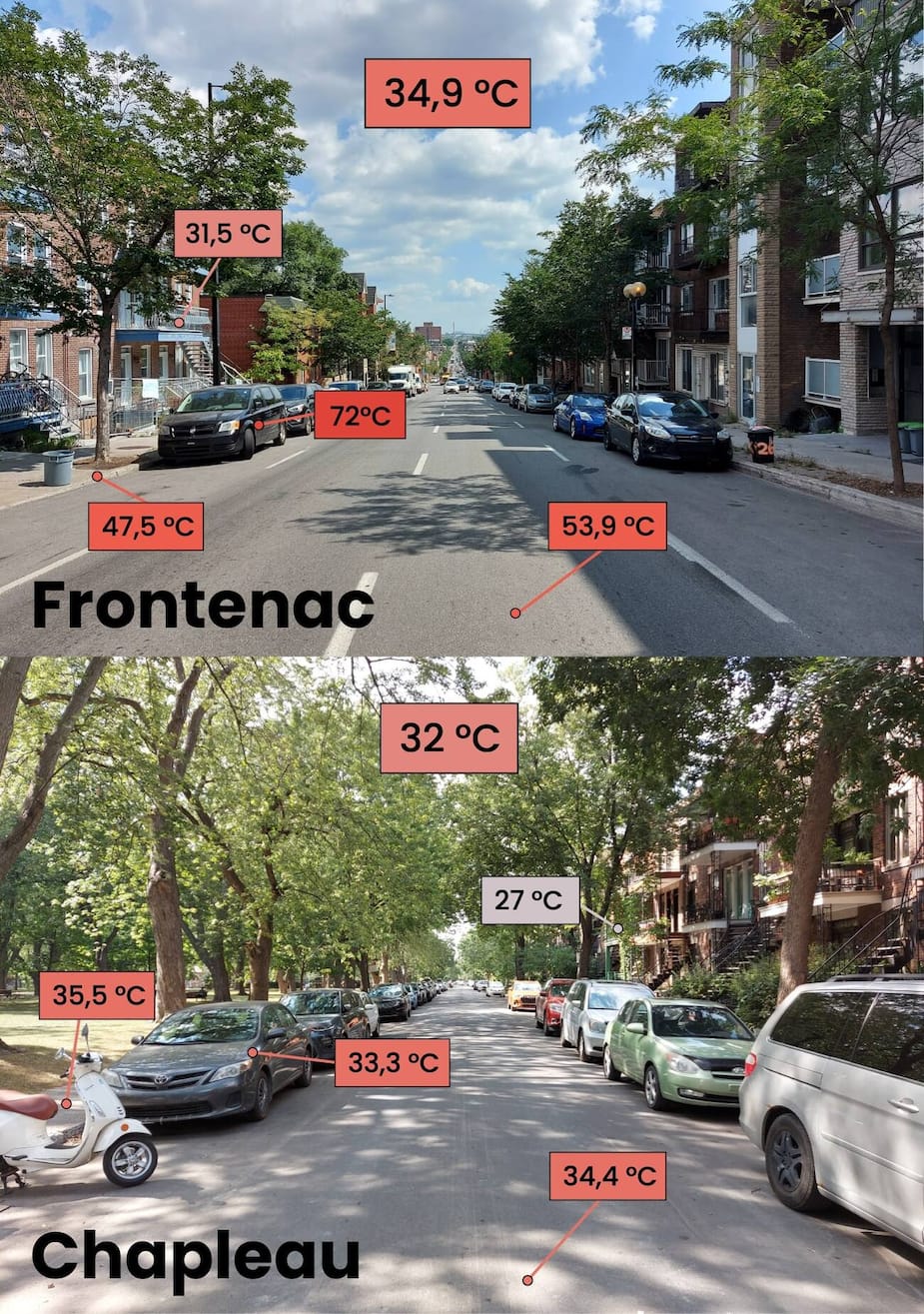 Image principale de l'article Quelle différence de température? On l'a testé