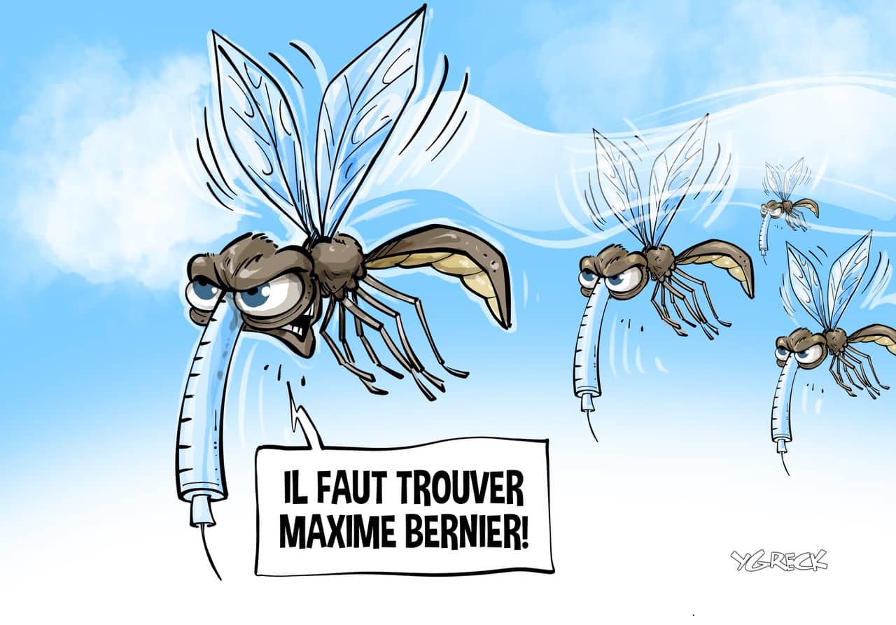La caricature d'Ygreck | Le Journal de Québec