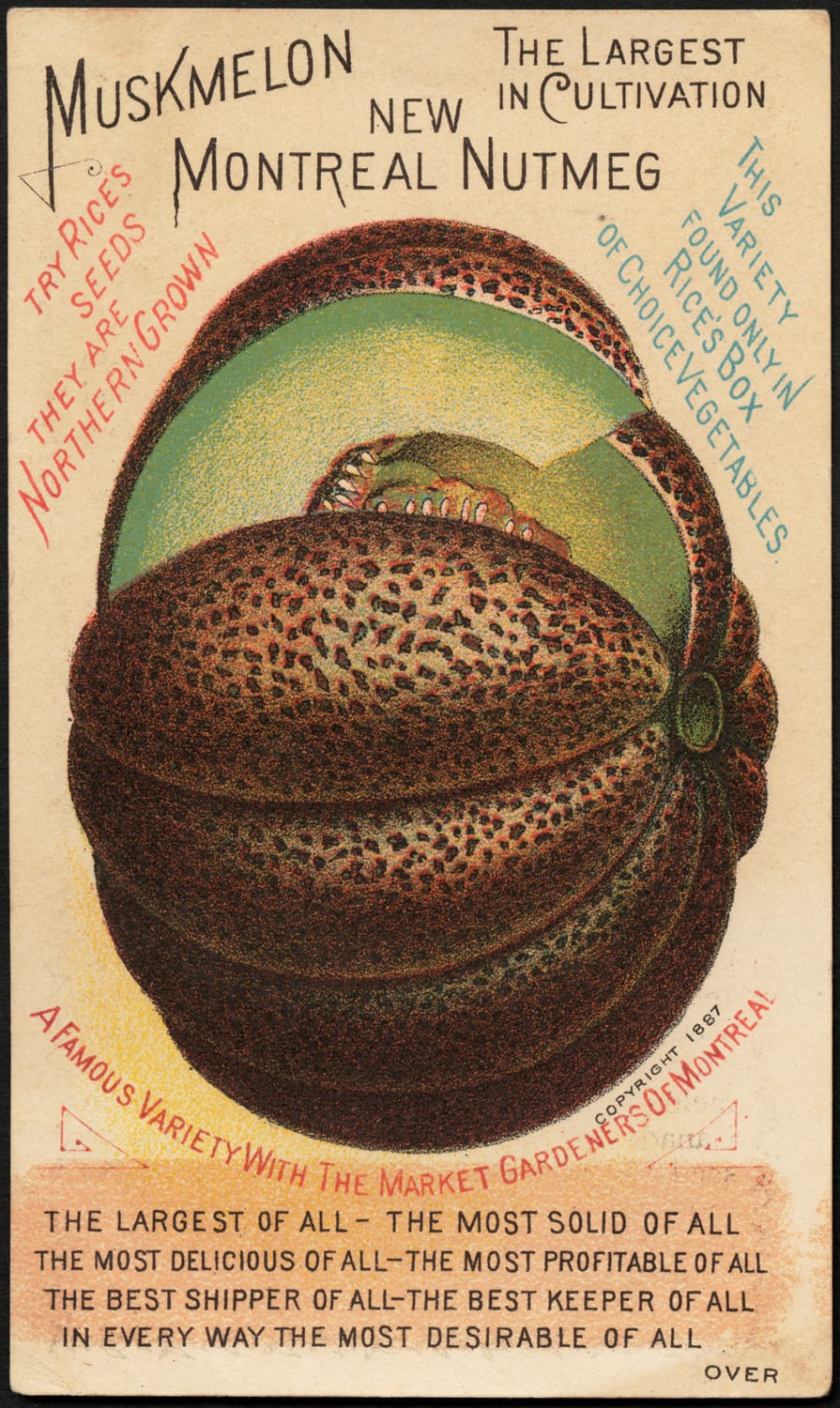 Mont-Royal: le maire réussit à faire pousser un «melon de ...