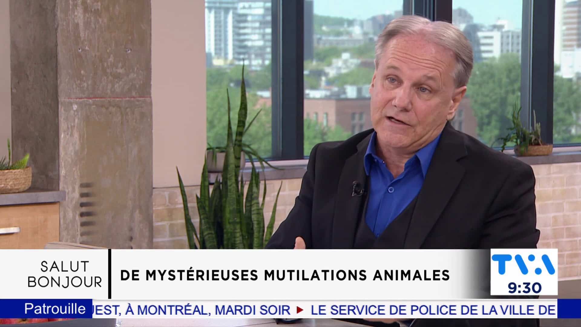Les mystérieuses mutilations animales  