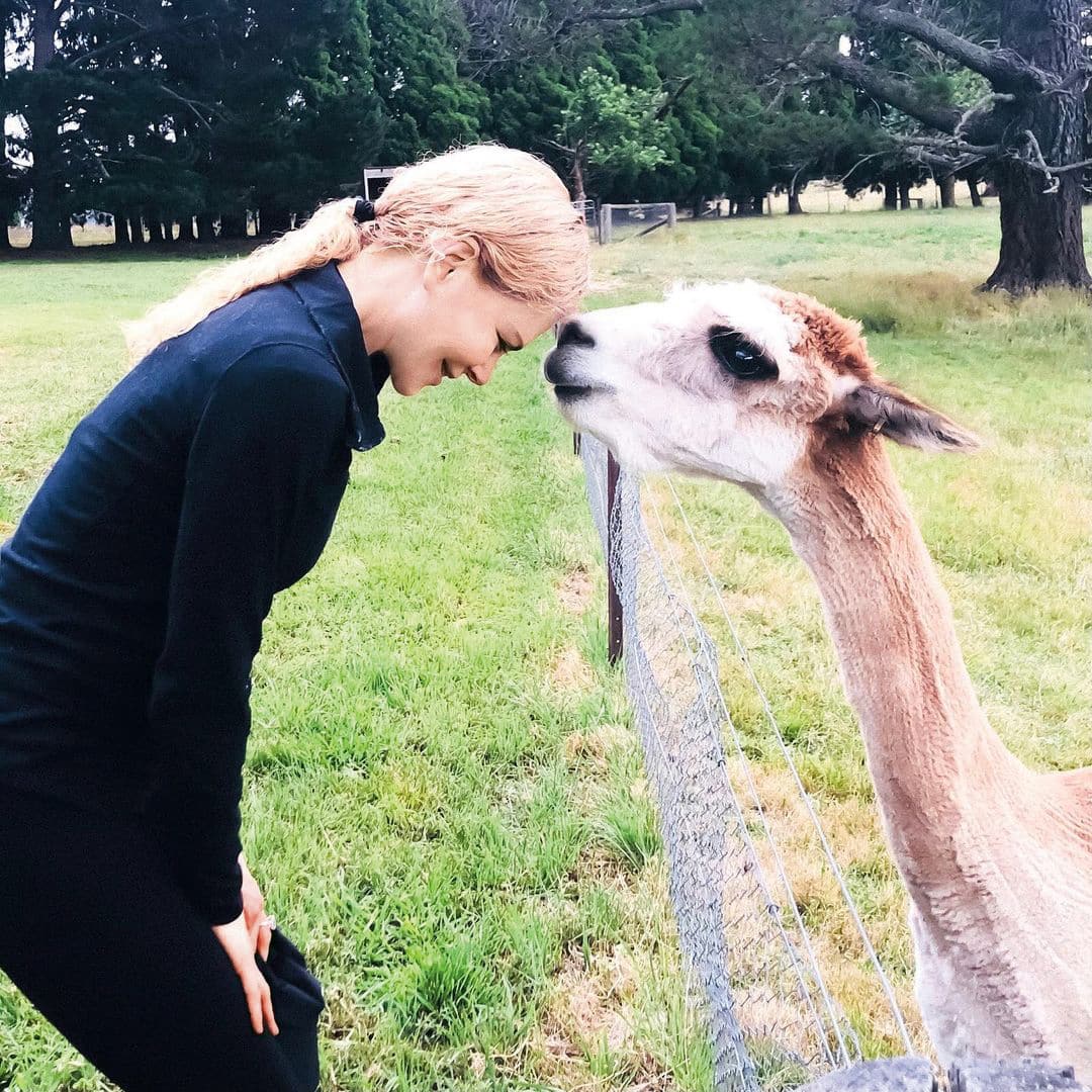 19 stars qui vivent sur une ferme