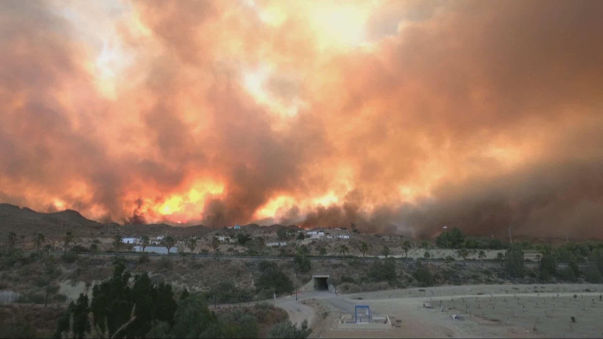 PICTURES | Trapped in their vehicle or overtaken by flames: at least 12 dead in a forest fire in southern Spain