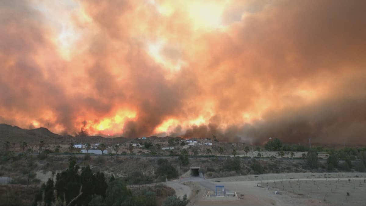 PICTURES | Trapped in their vehicle or overtaken by flames: at least 12 dead in a forest fire in southern Spain PICTURES | Trapped in their vehicle or overtaken by flames: at least 12 dead in a forest fire in southern Spain
