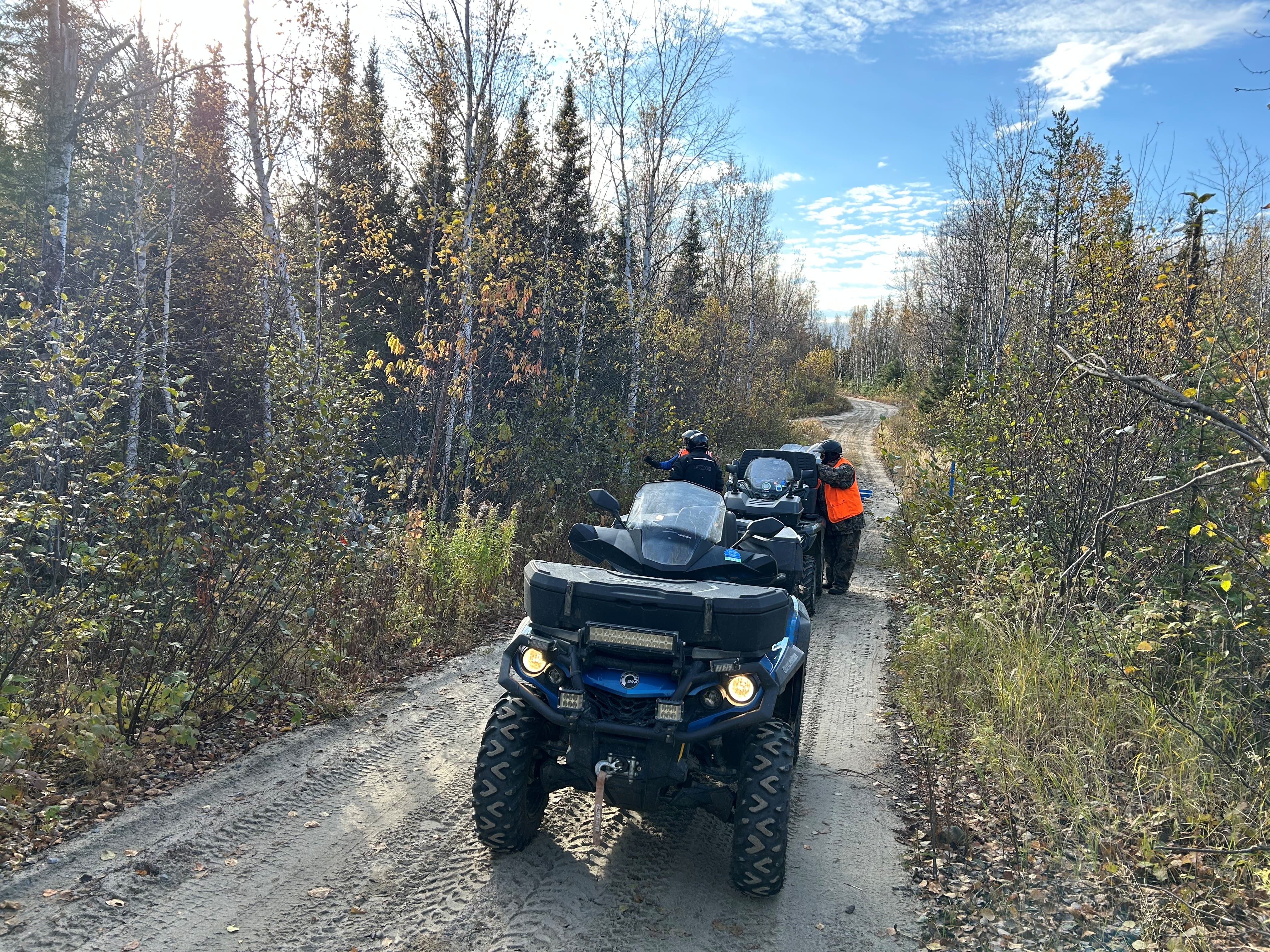 Durante a temporada estival, uma boa festa de sentimentos se encontrou nas nombreuses rotas florestais da região.