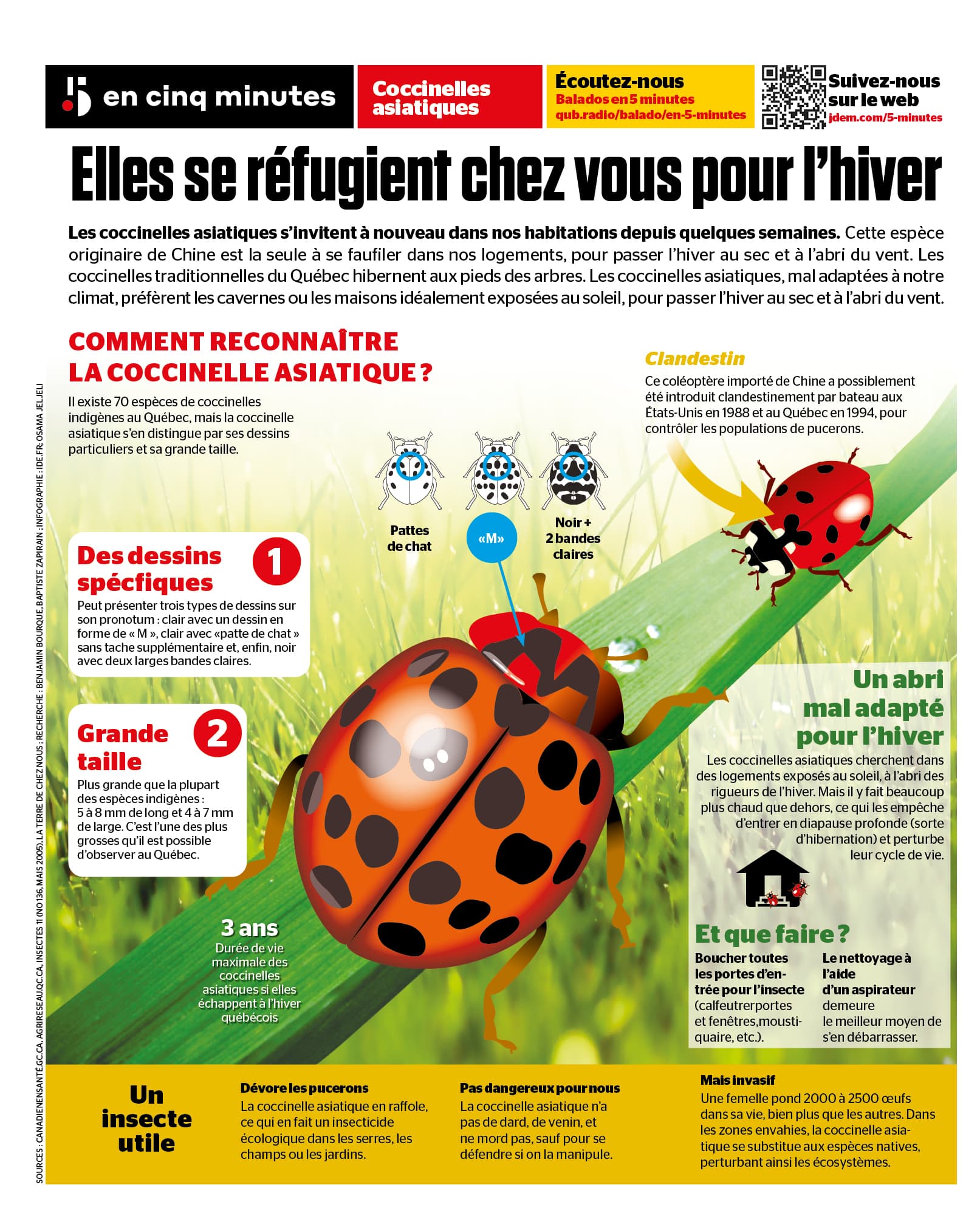 Sitemapcdatahttpsmodeinf Inetcomaire Des 3 Coccinelles