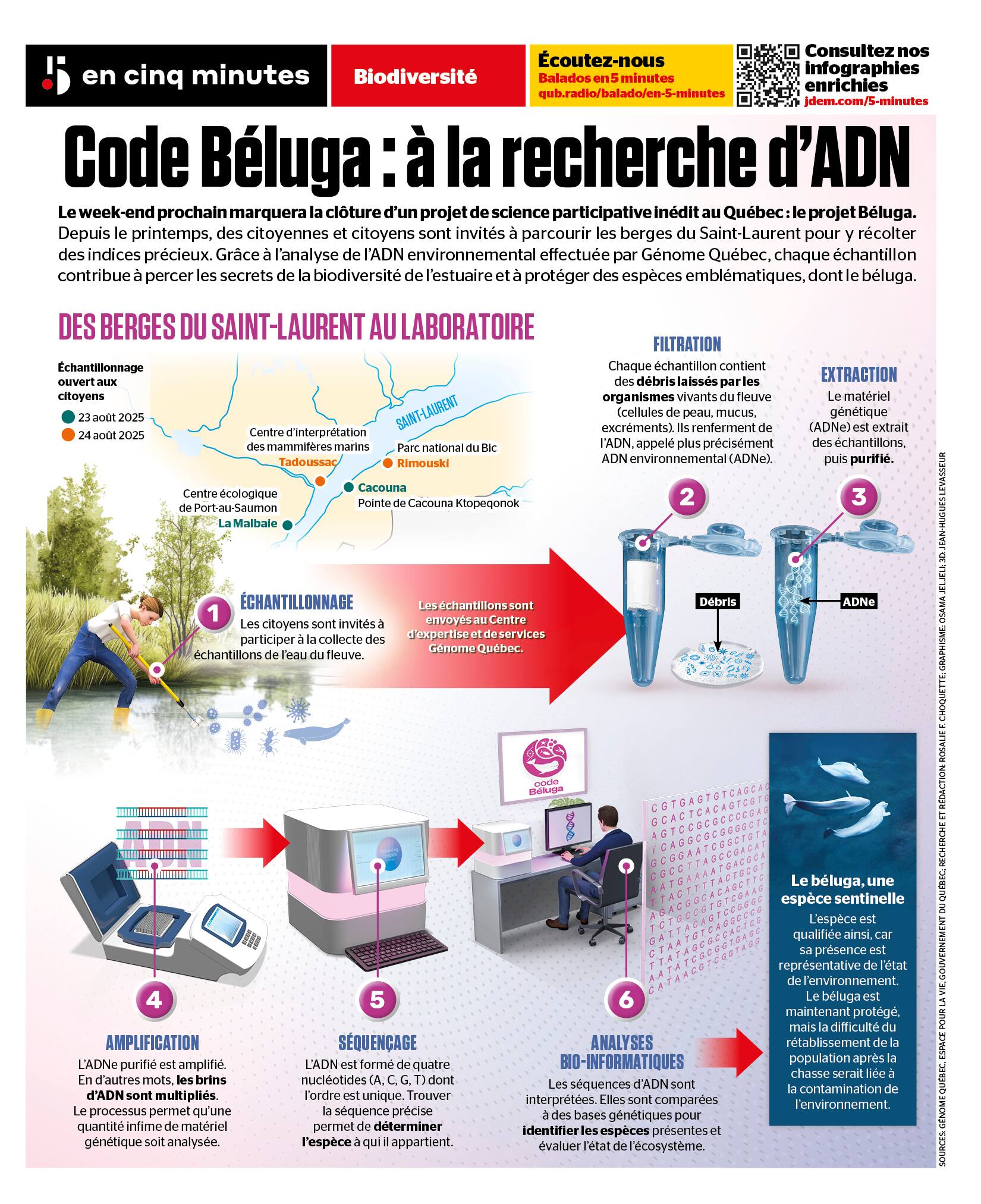 Béluga : la science entre les mains des citoyens | JDM