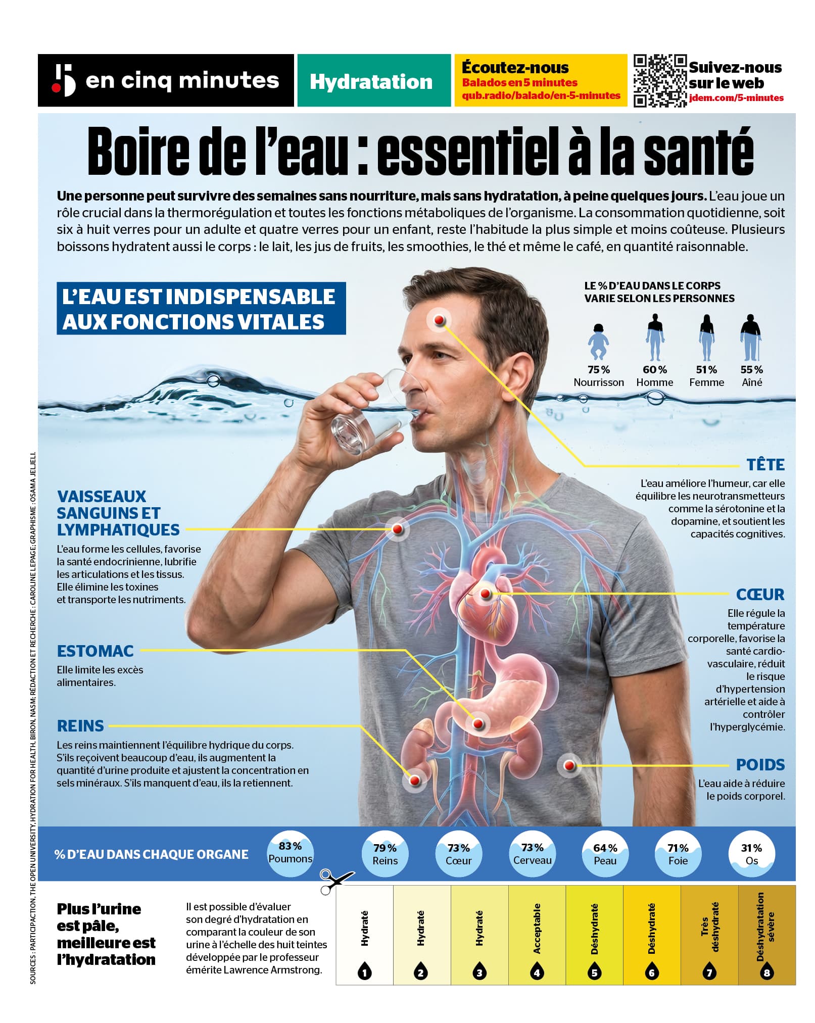 INFOGRAPHIE | Pourquoi nos organes ont besoin d'eau