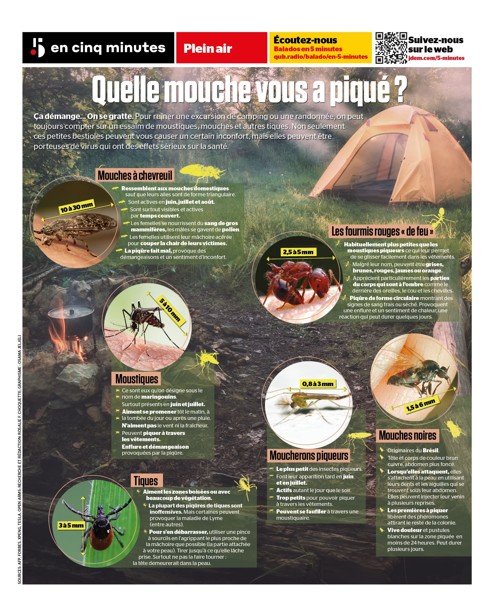 INFOGRAPHIE | Quelle mouche vous a piqué?