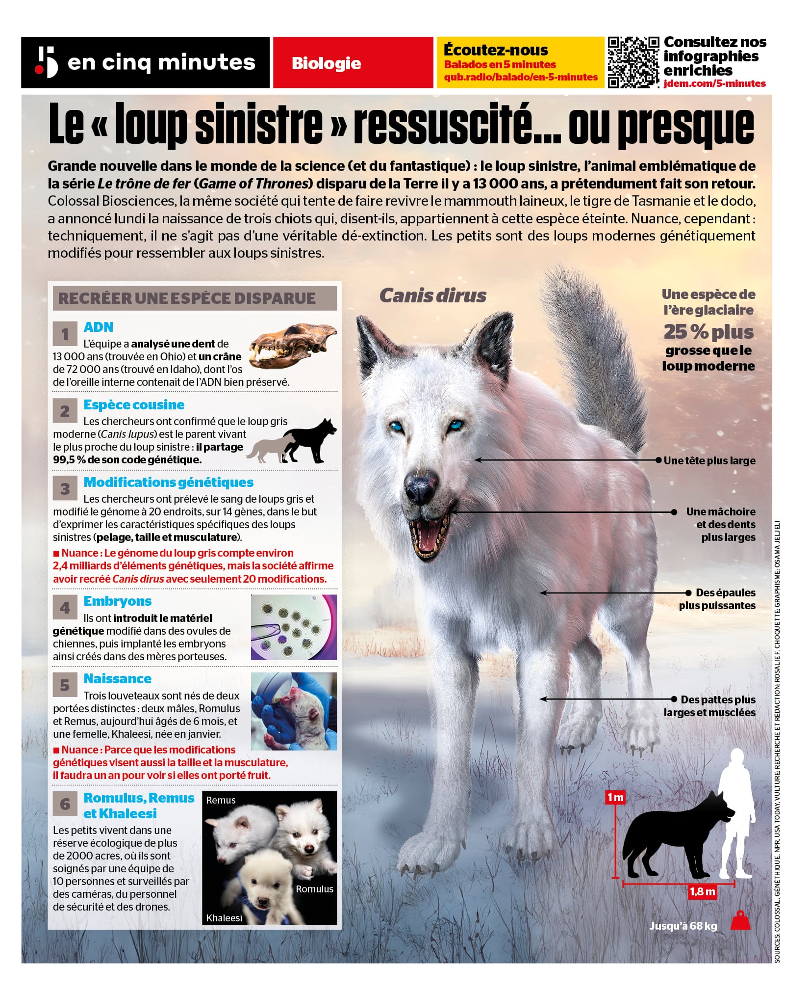 Comment ils ont (soi-disant) ressuscité le «loup sinistre», étape par ...