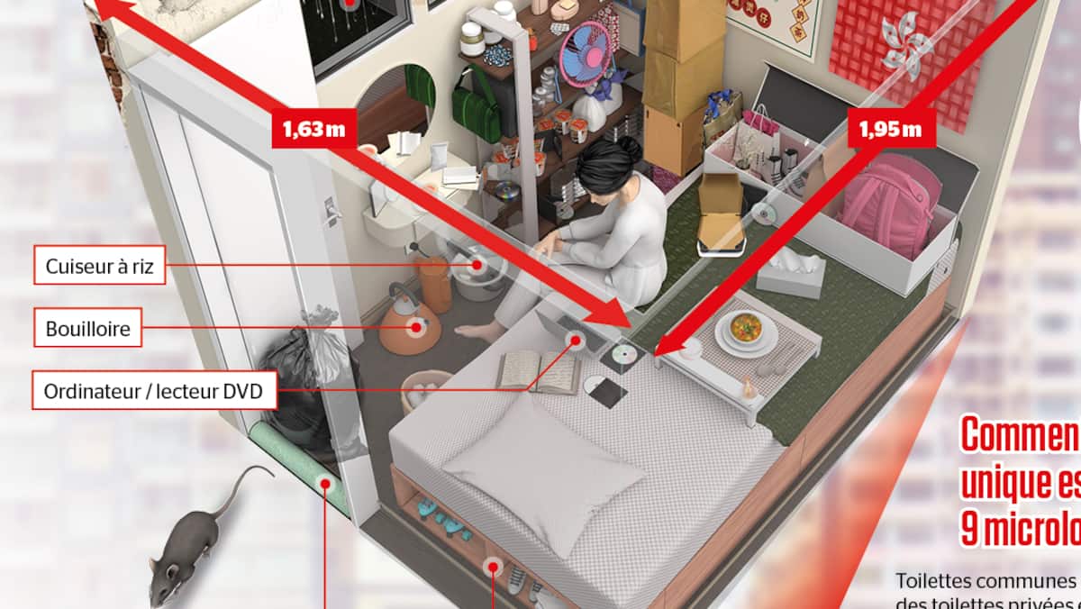INFOGRAPHIC | In Hong Kong, the end of 3 m2 micro-housing INFOGRAPHIC | In Hong Kong, the end of 3 m2 micro-housing
