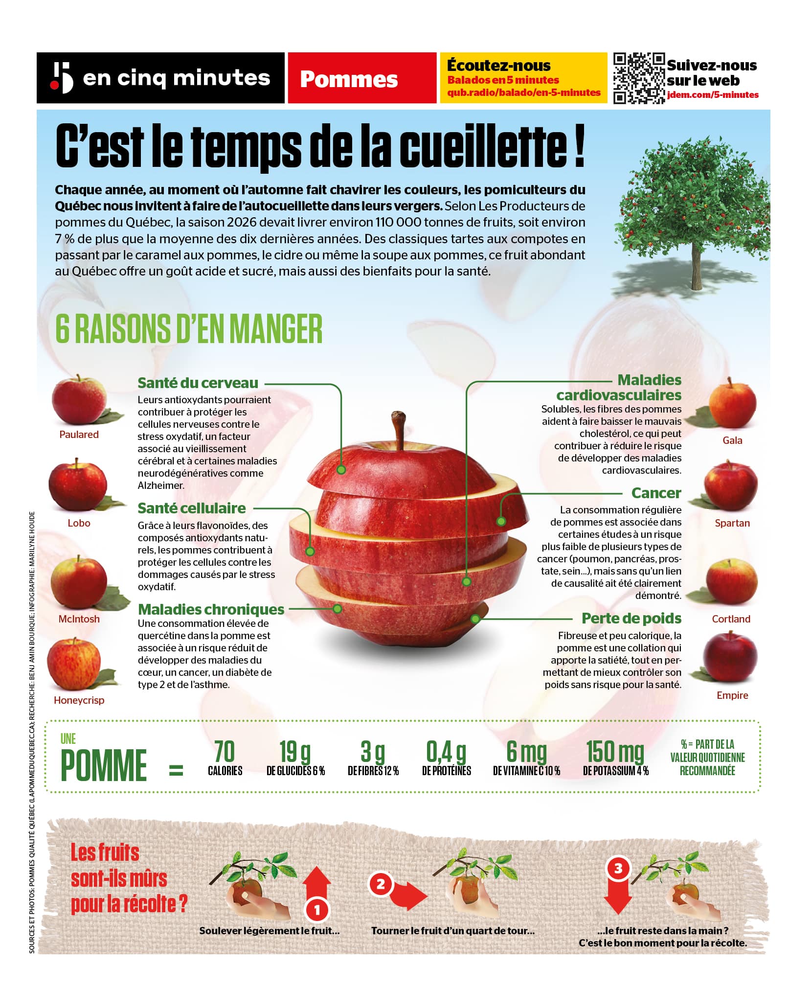 INFOGRAPHIE | Six raisons de manger des pommes