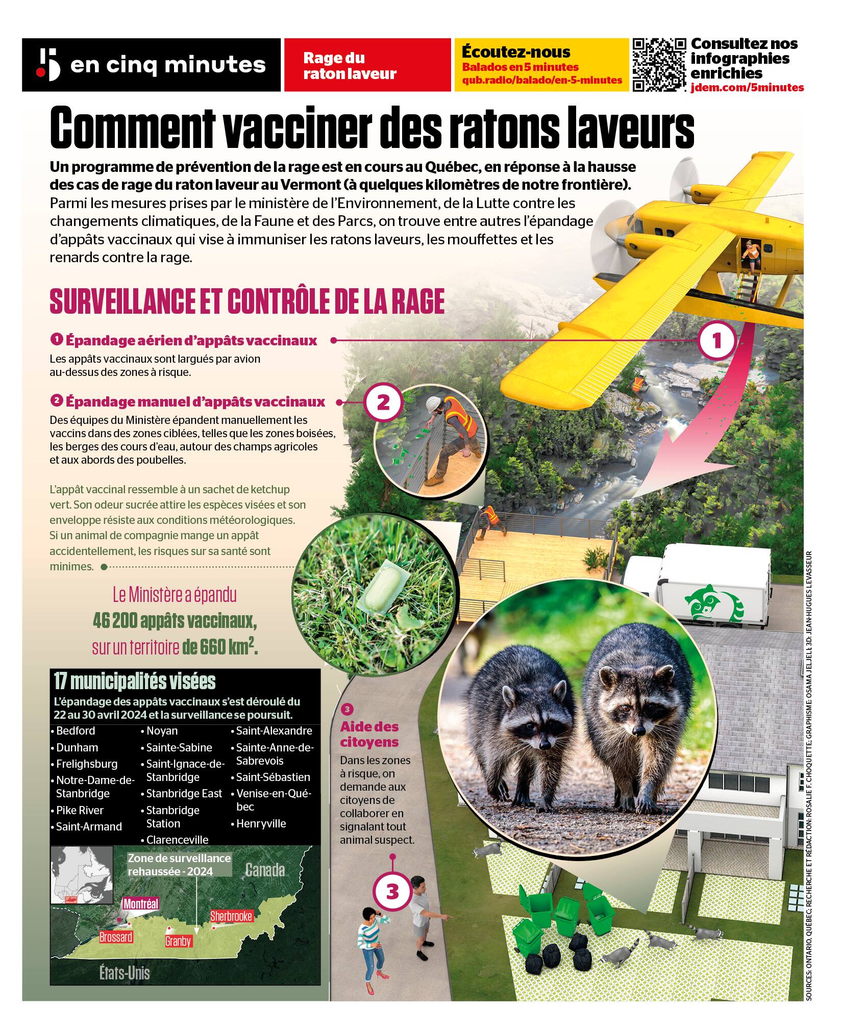 Comment on vaccine des ratons laveurs | JDM