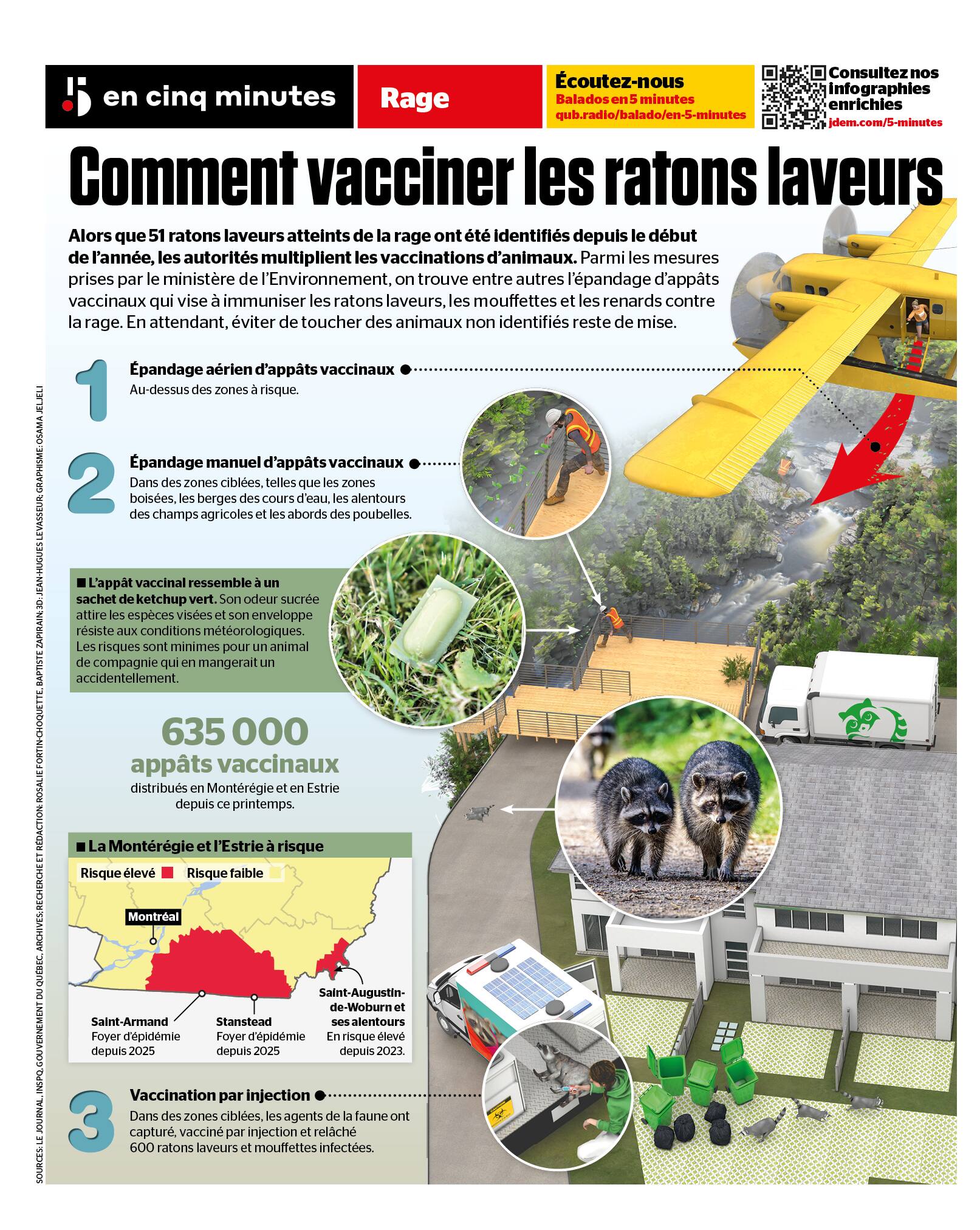 INFOGRAPHIE | Rage: comment on vaccine les ratons laveurs | JDQ