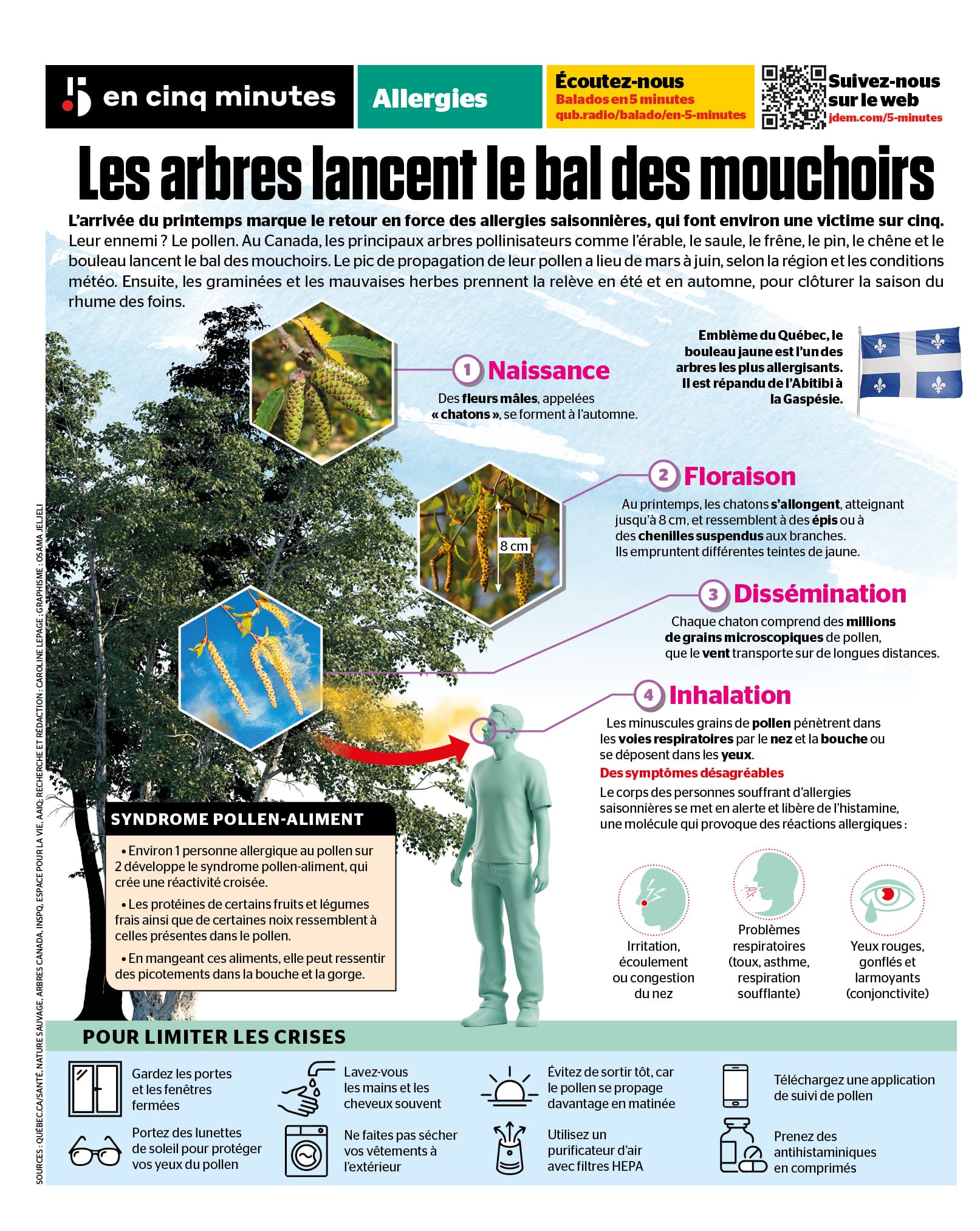 INFOGRAPHIE | Allergies saisonnières: les arbres lancent le bal des mouchoirs