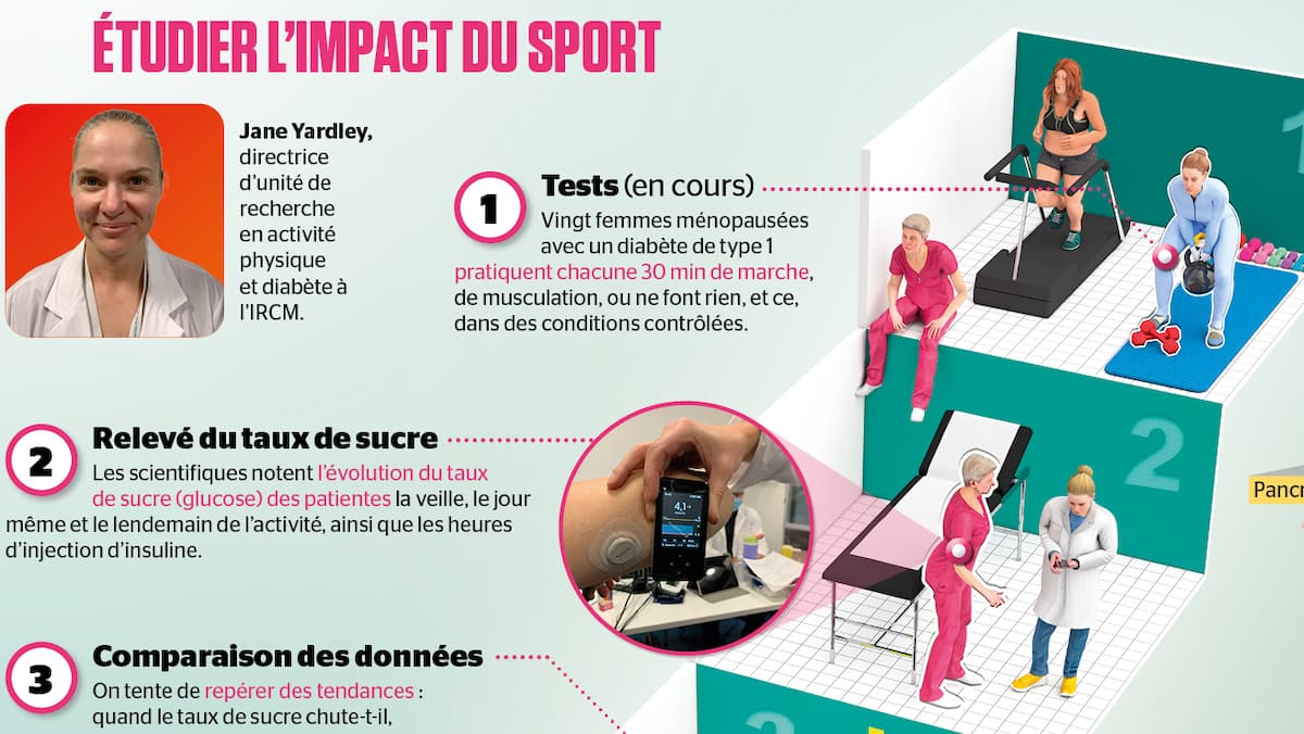 Sport et diabète de type 1 chez les femmes ménopausées à Montréal : une étude révolutionnaire