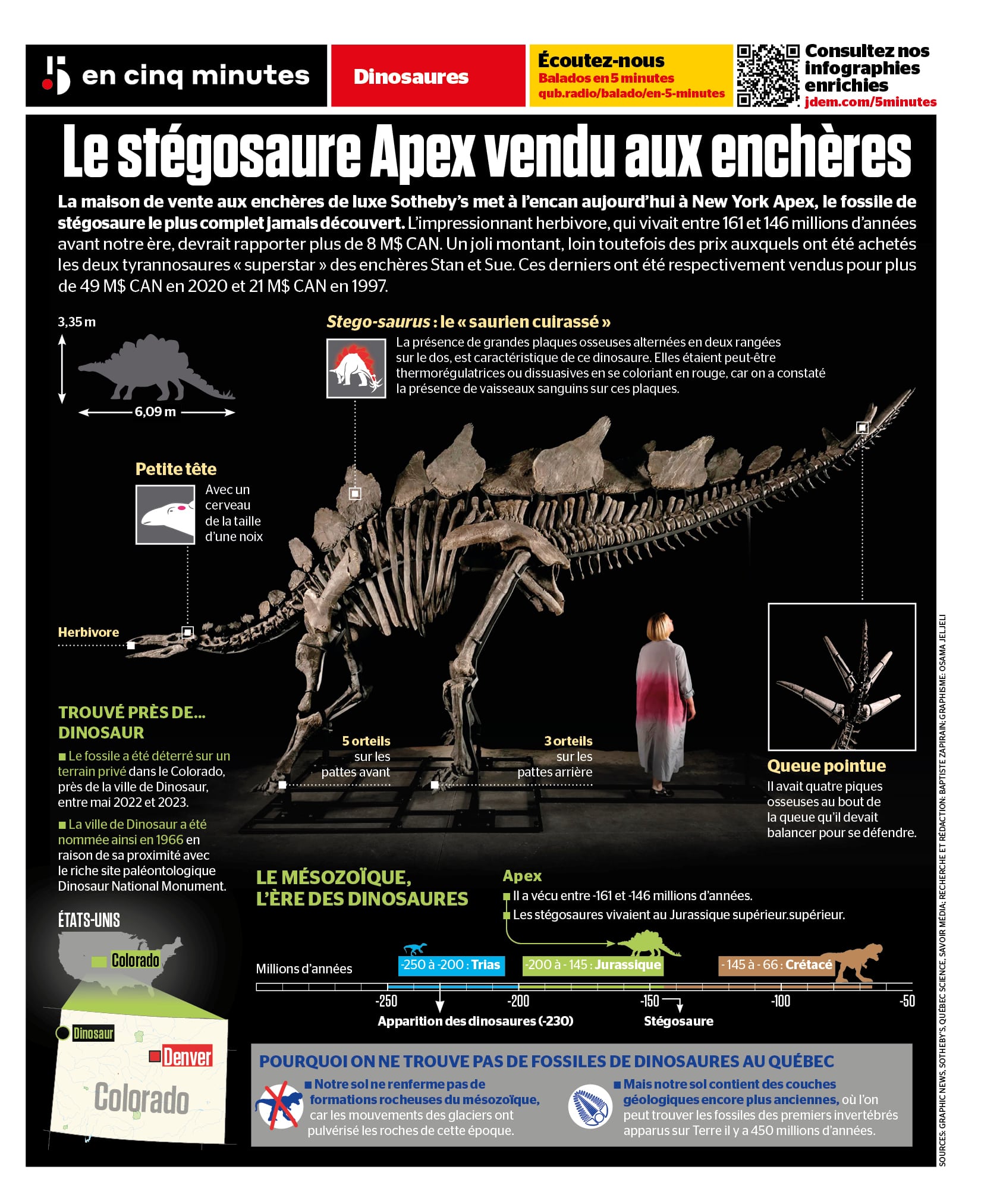 Le st?�gosaure Apex vendu aux ench?�res | JDQ