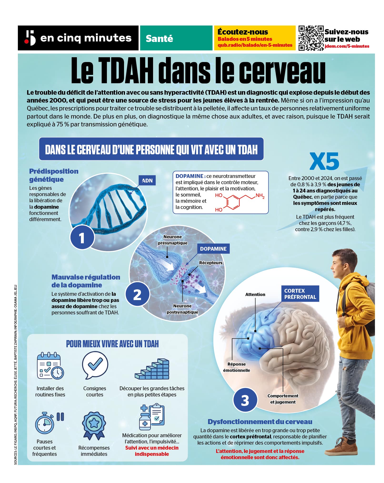 INFOGRAPHIE | TDAH: une dérégulation de la dopamine
