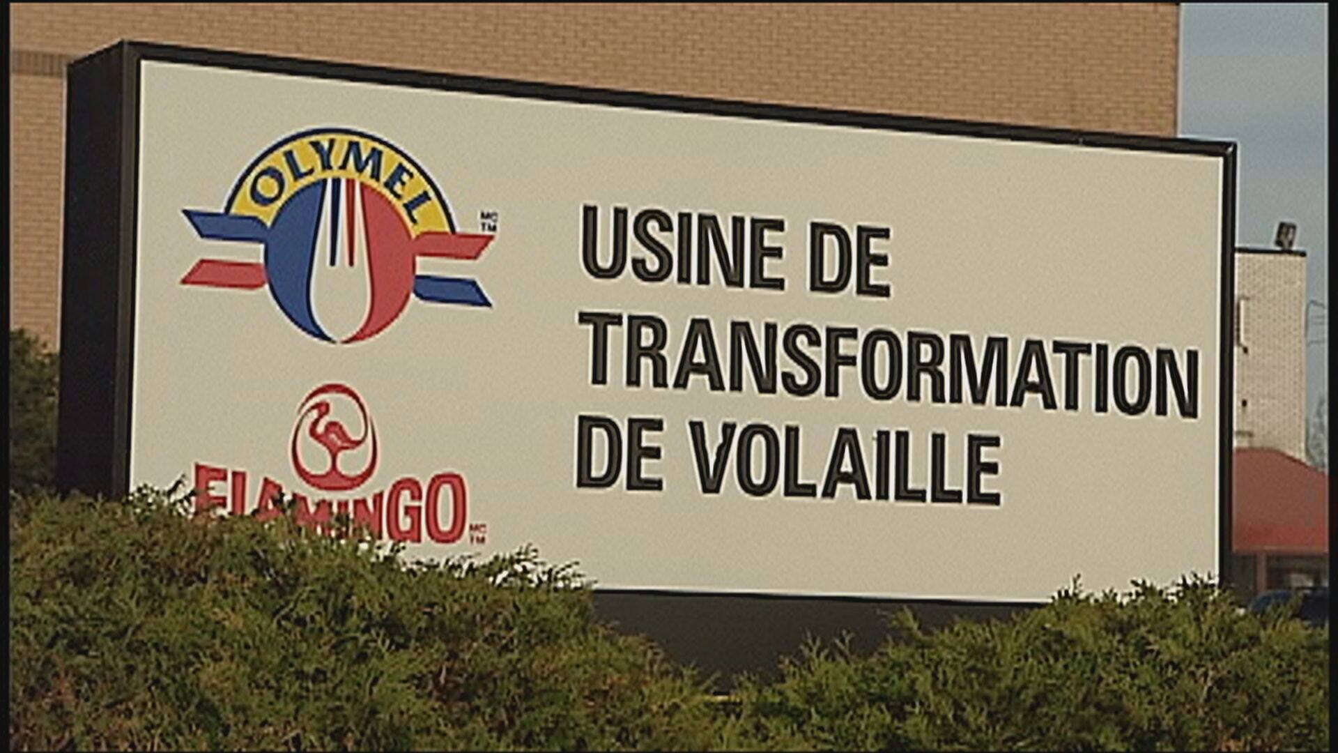 &laquo;Elle n&rsquo;a aucune garantie&raquo;: cri du c&oelig;ur du conjoint d&rsquo;une employ&eacute;e de l&rsquo;usine Olymel de Saint-Jean-sur-Richelieu